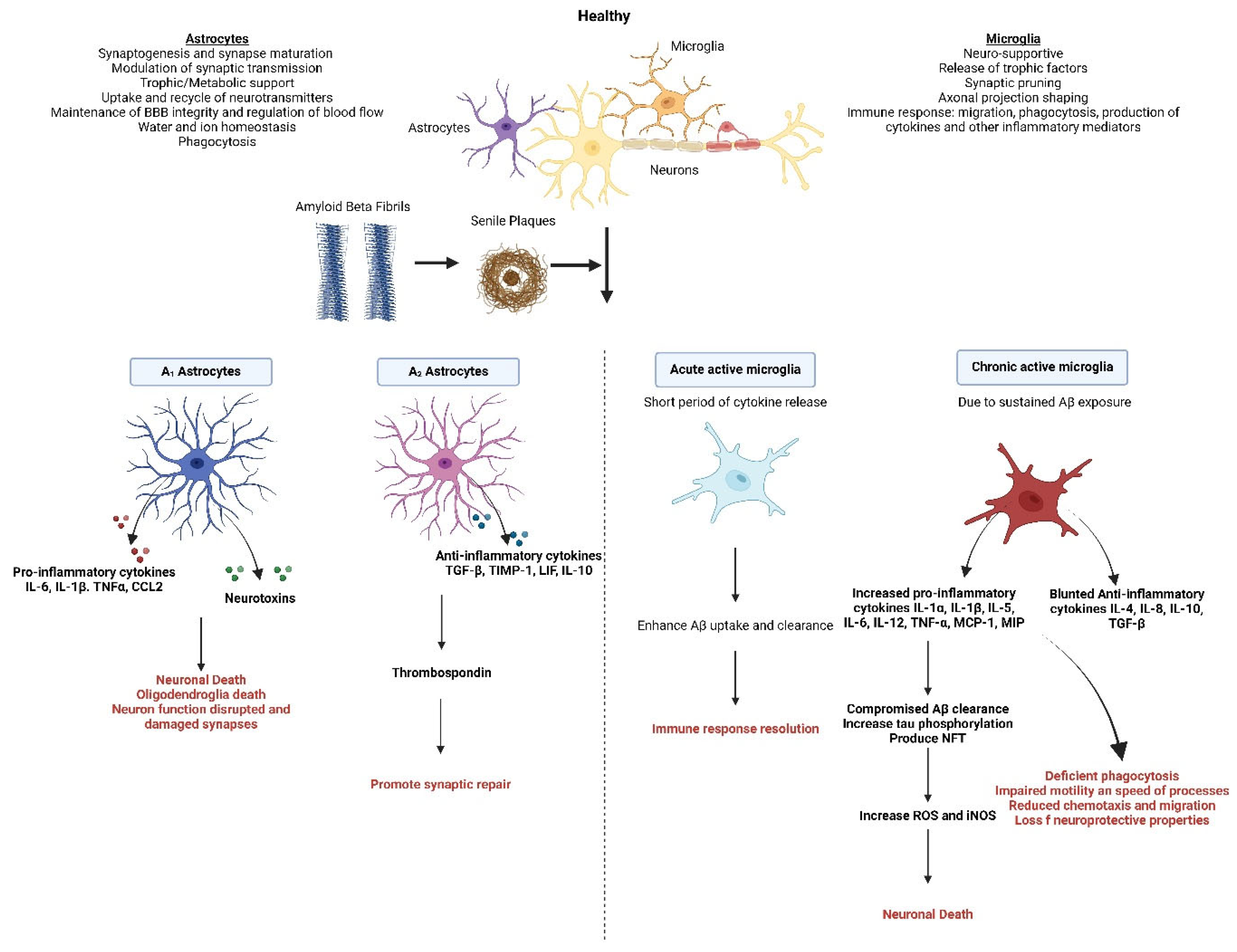 Nutrients 17 02286 g001