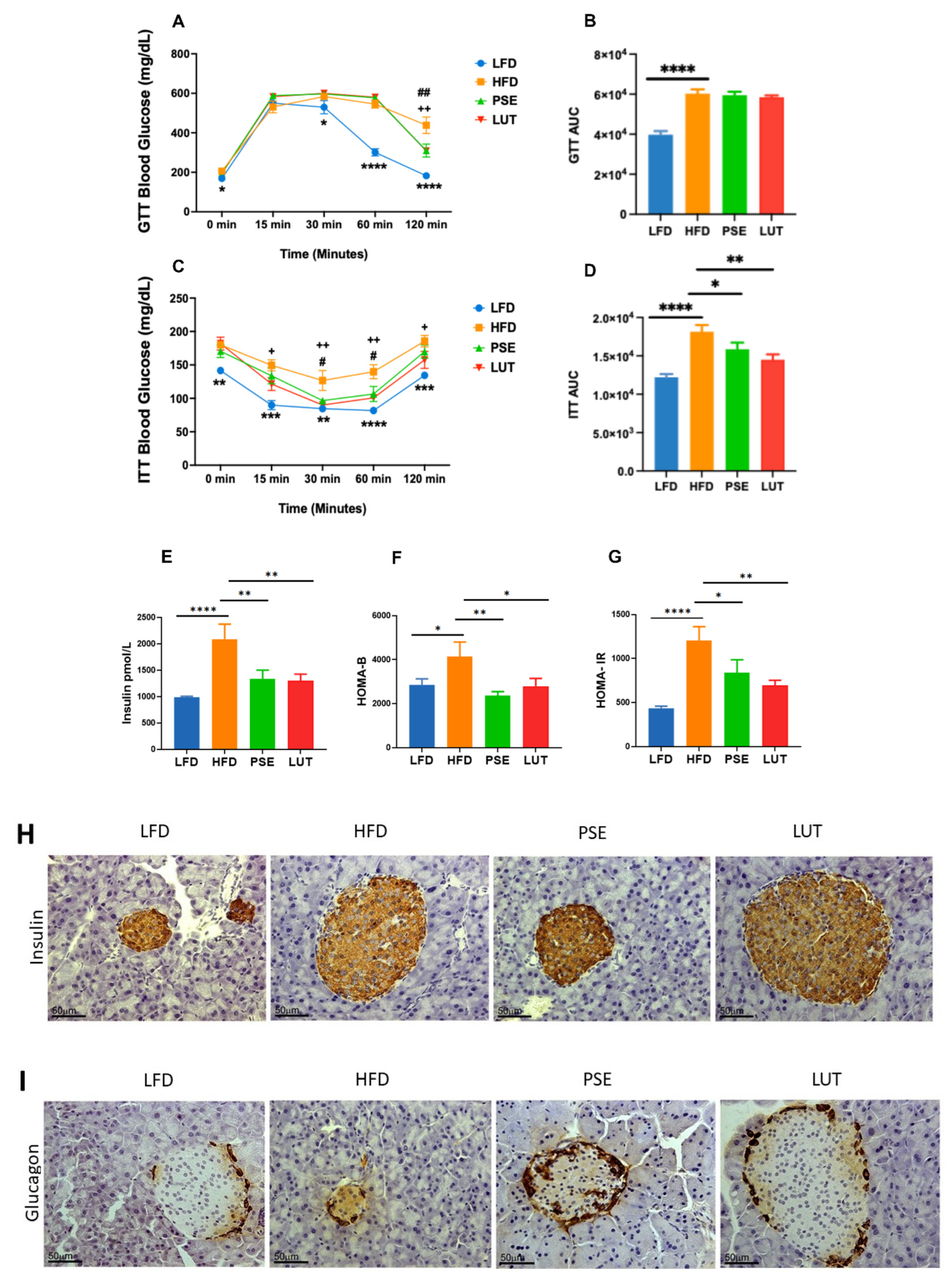 Nutrients 17 02290 g001