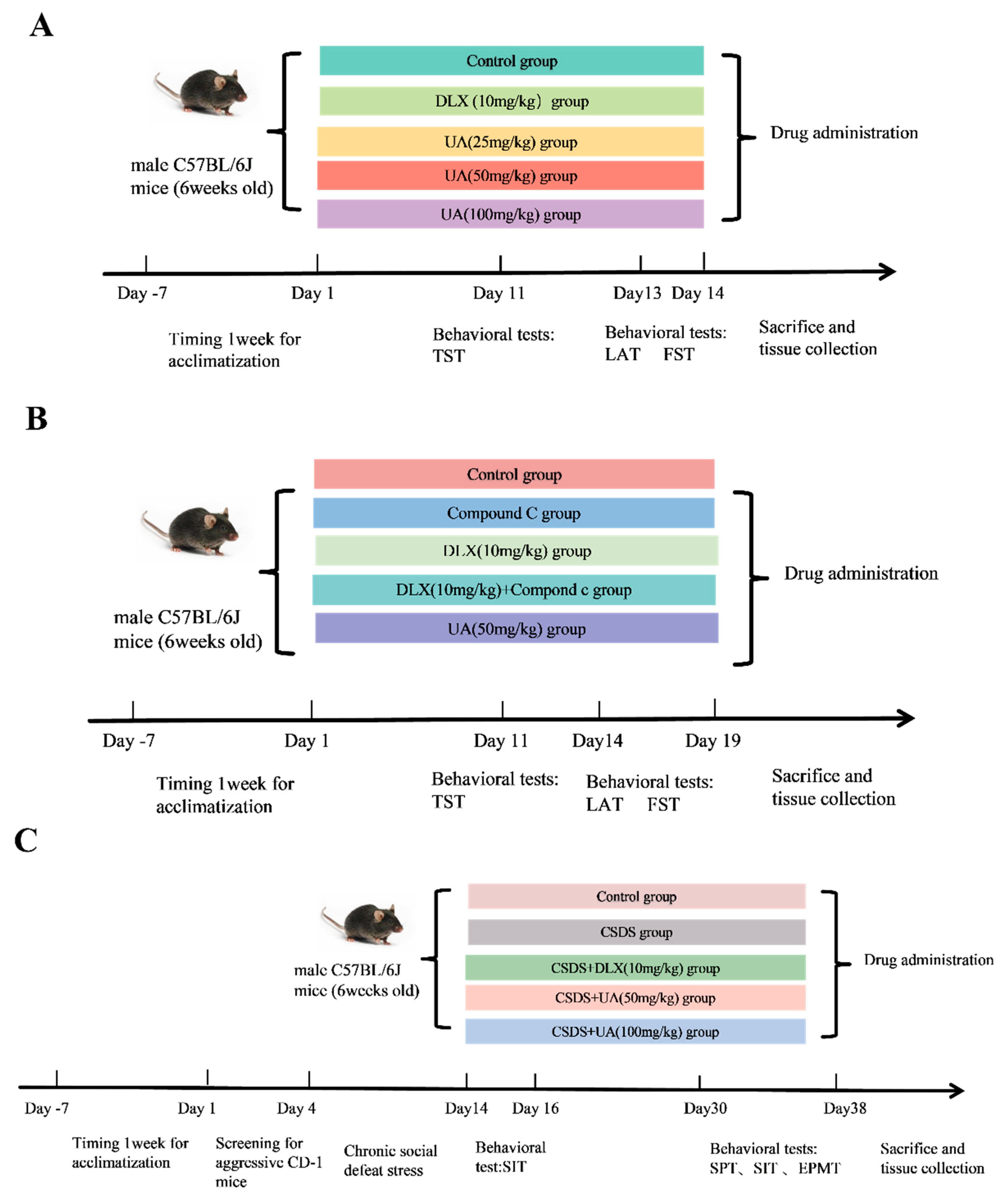 Nutrients 17 02294 g001