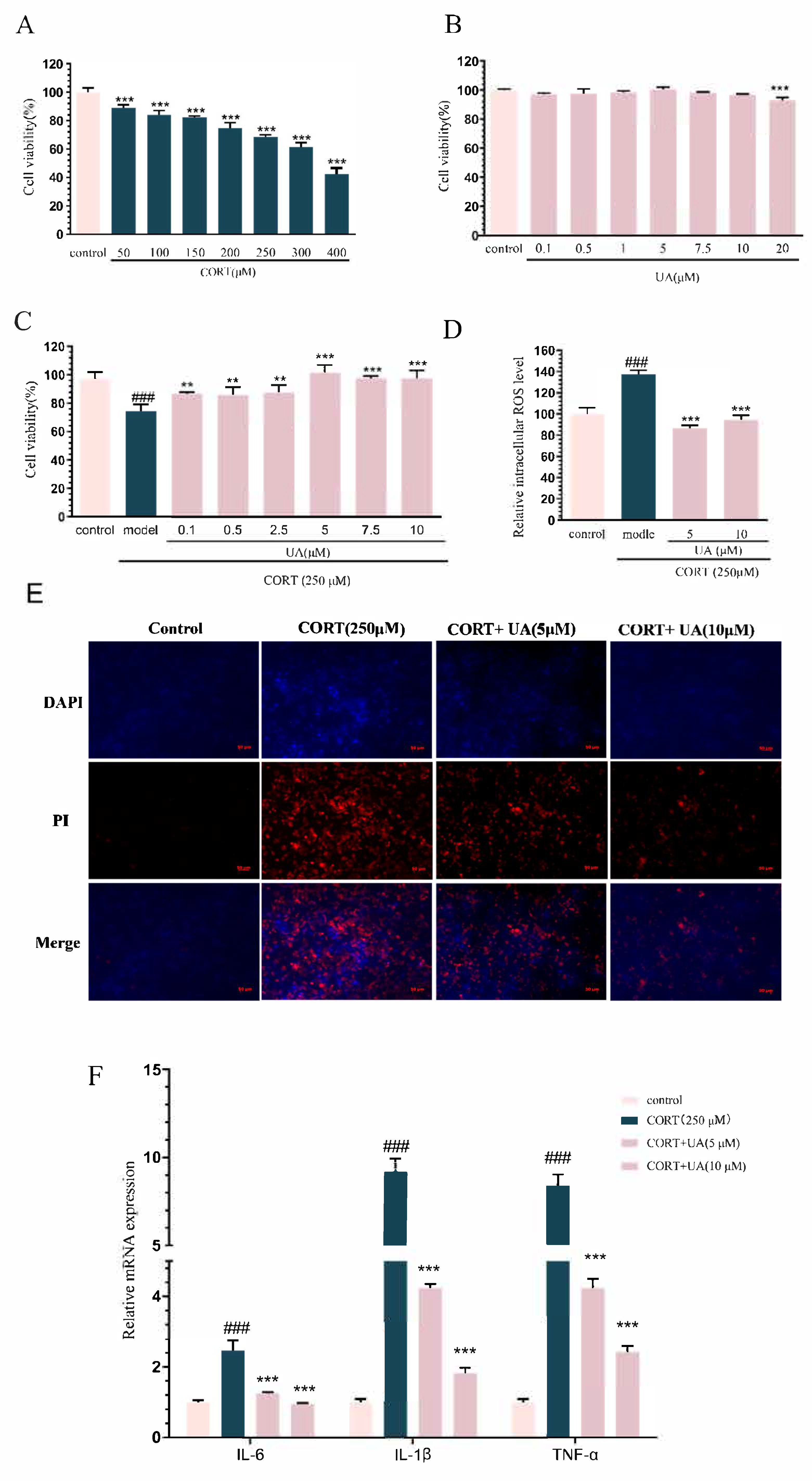 Nutrients 17 02294 g002