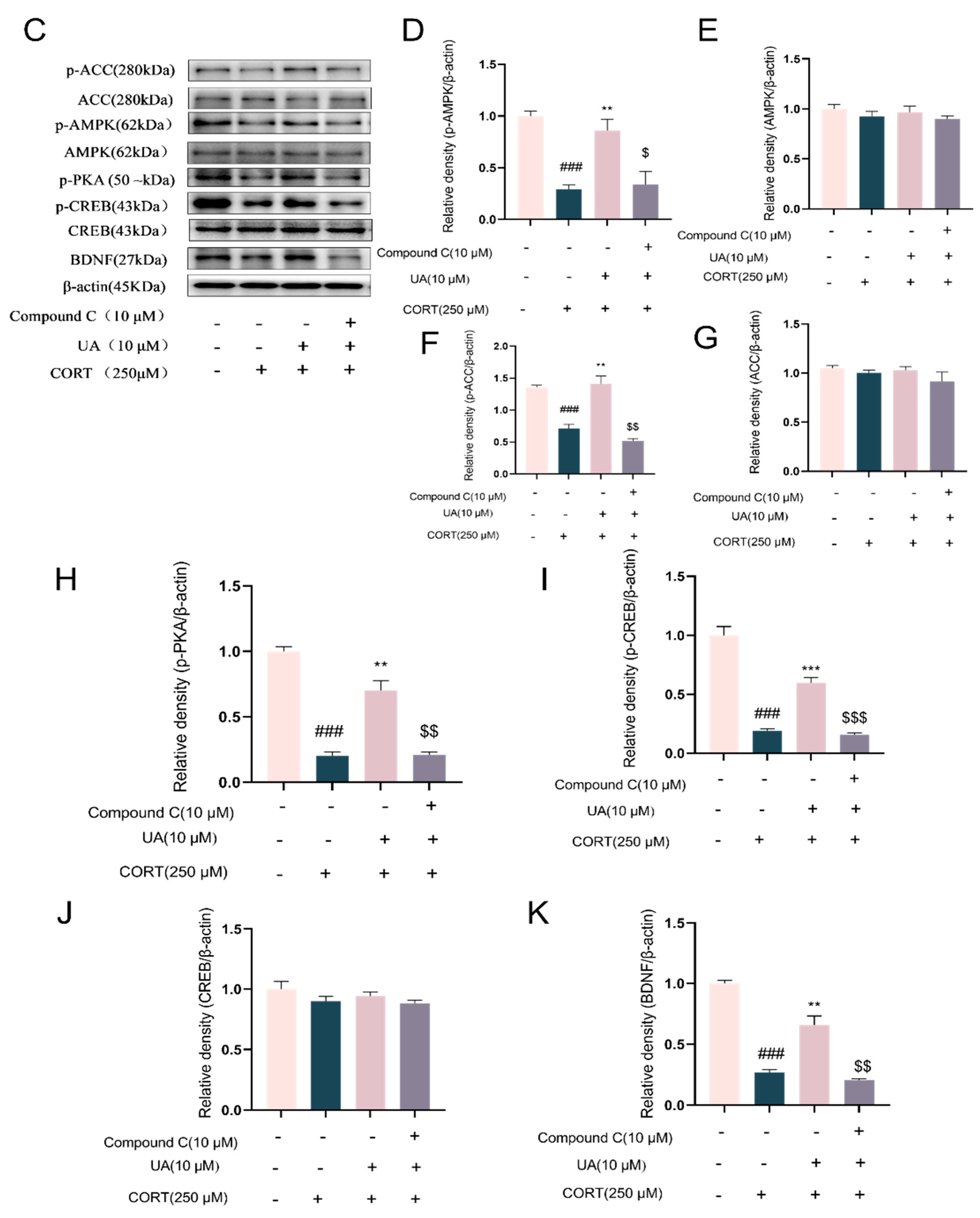 Nutrients 17 02294 g004b