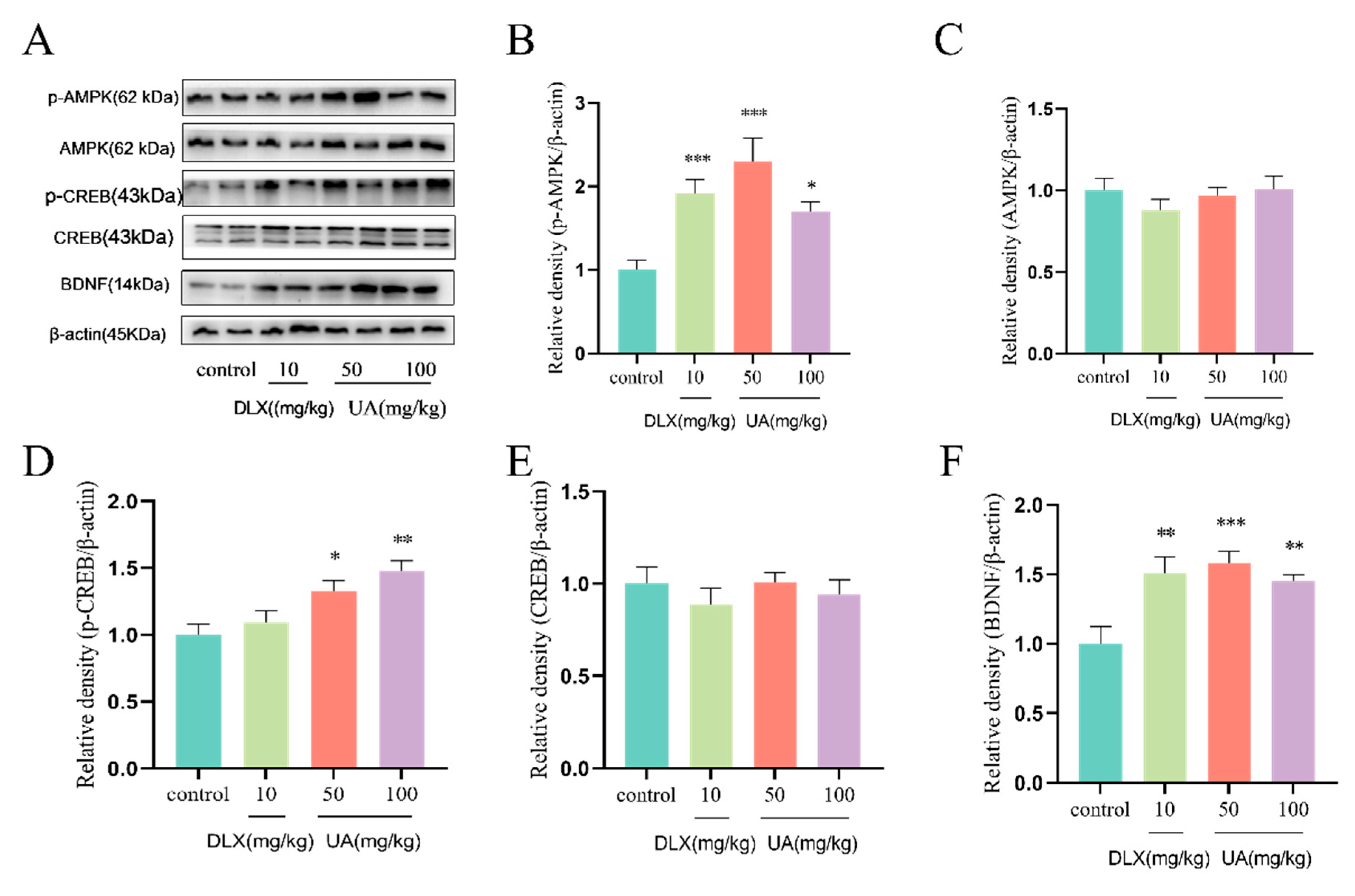 Nutrients 17 02294 g006
