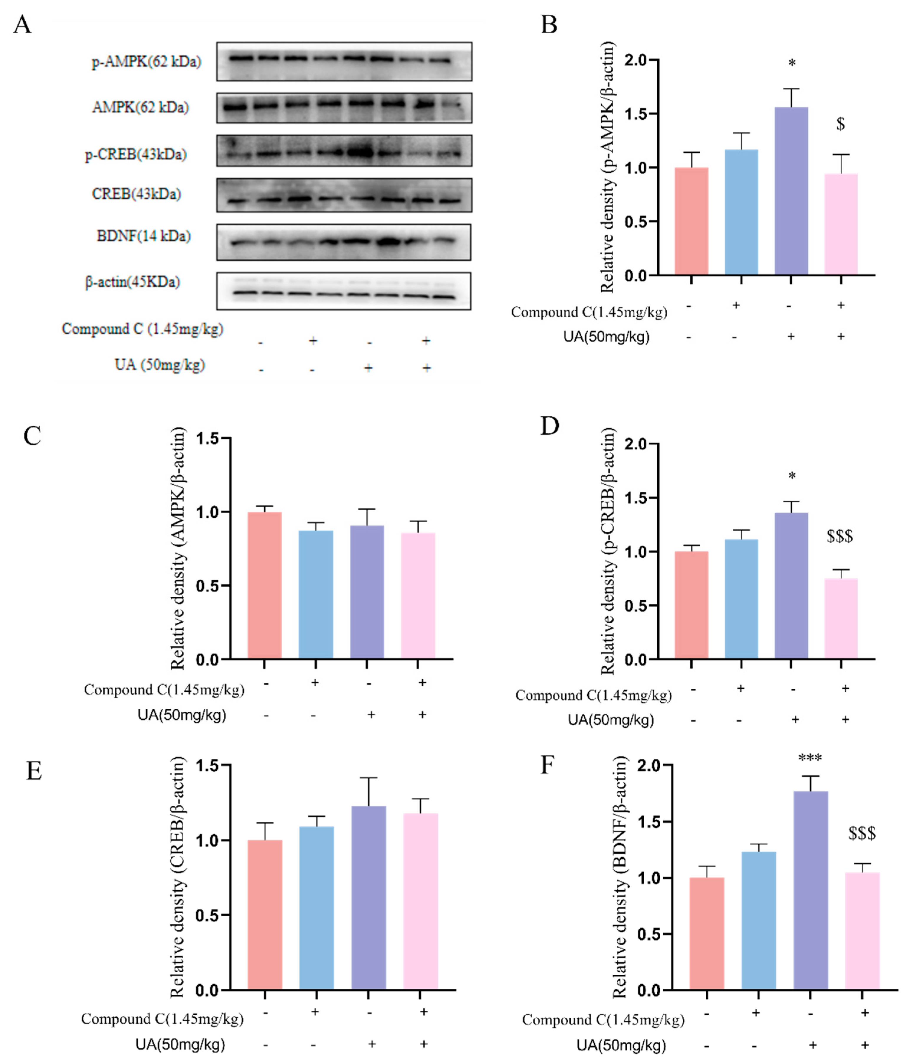 Nutrients 17 02294 g008