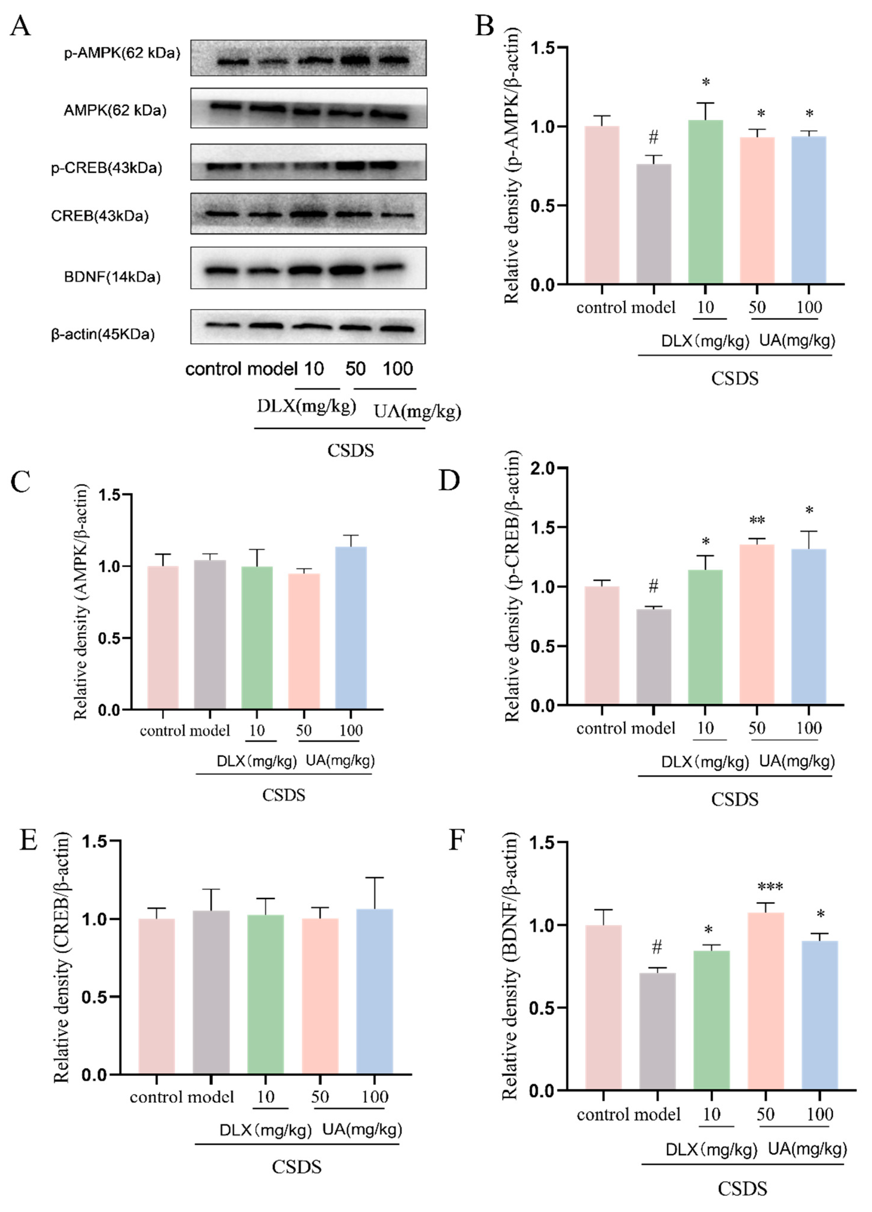 Nutrients 17 02294 g011