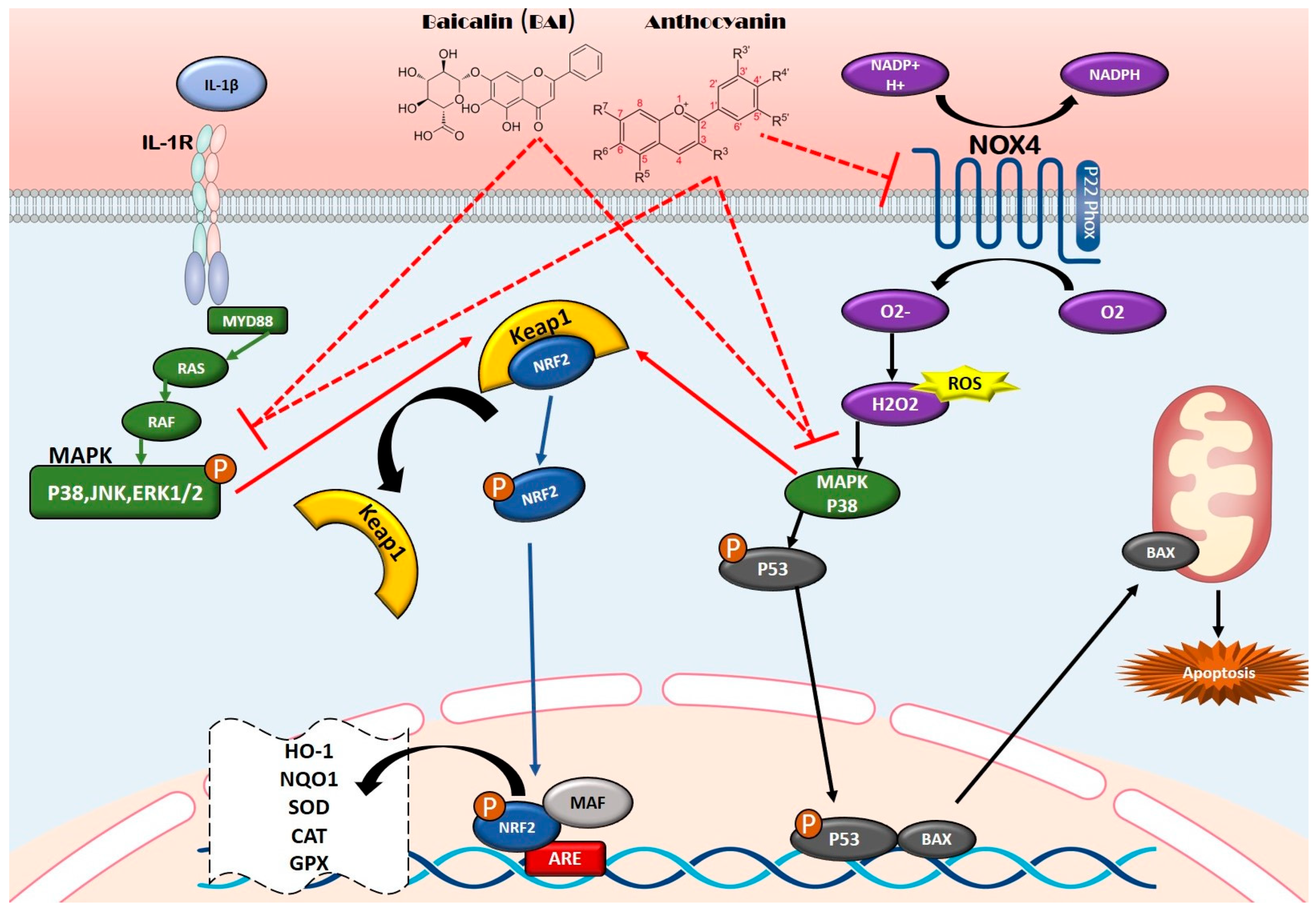 Nutrients 17 02303 g002