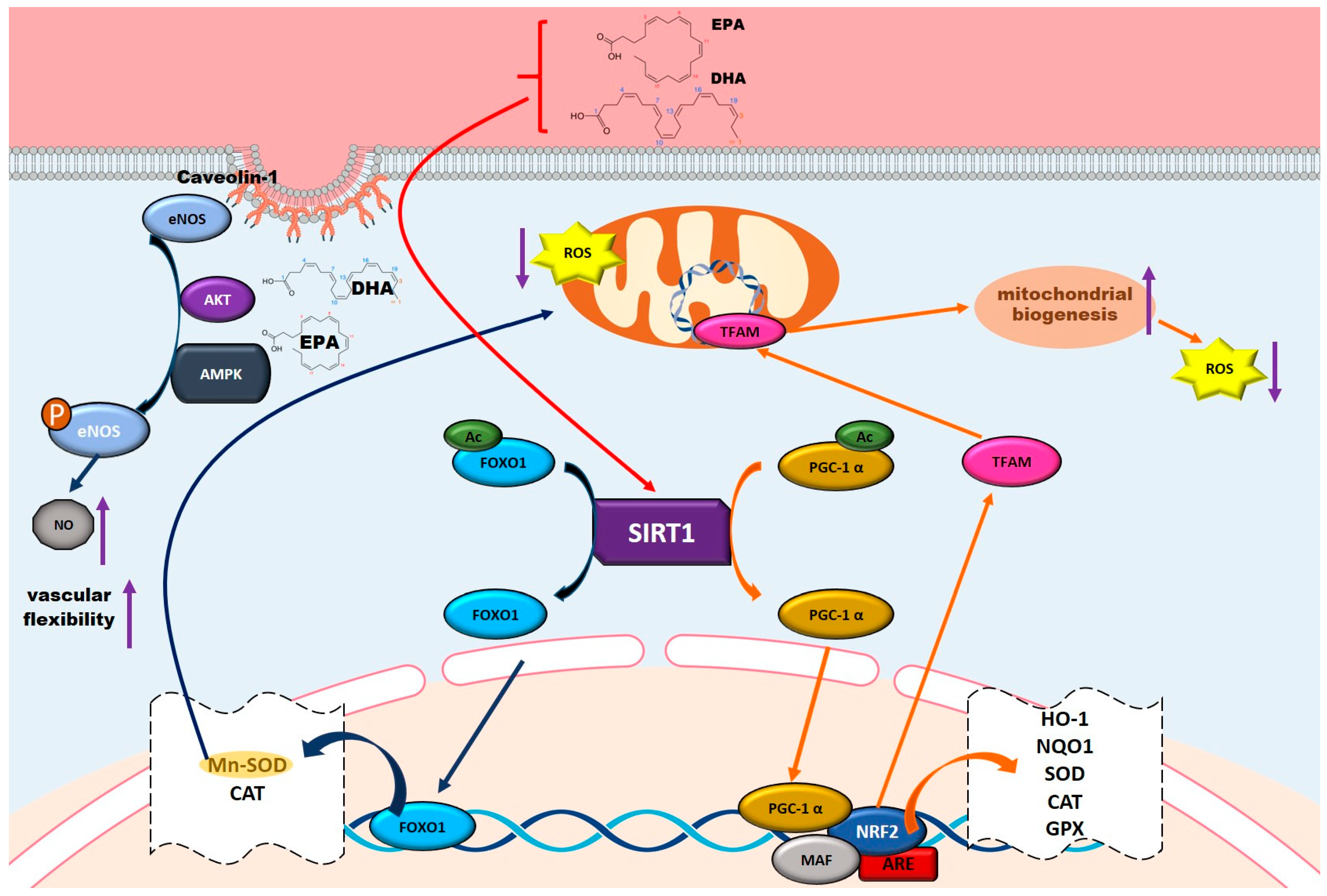 Nutrients 17 02303 g004