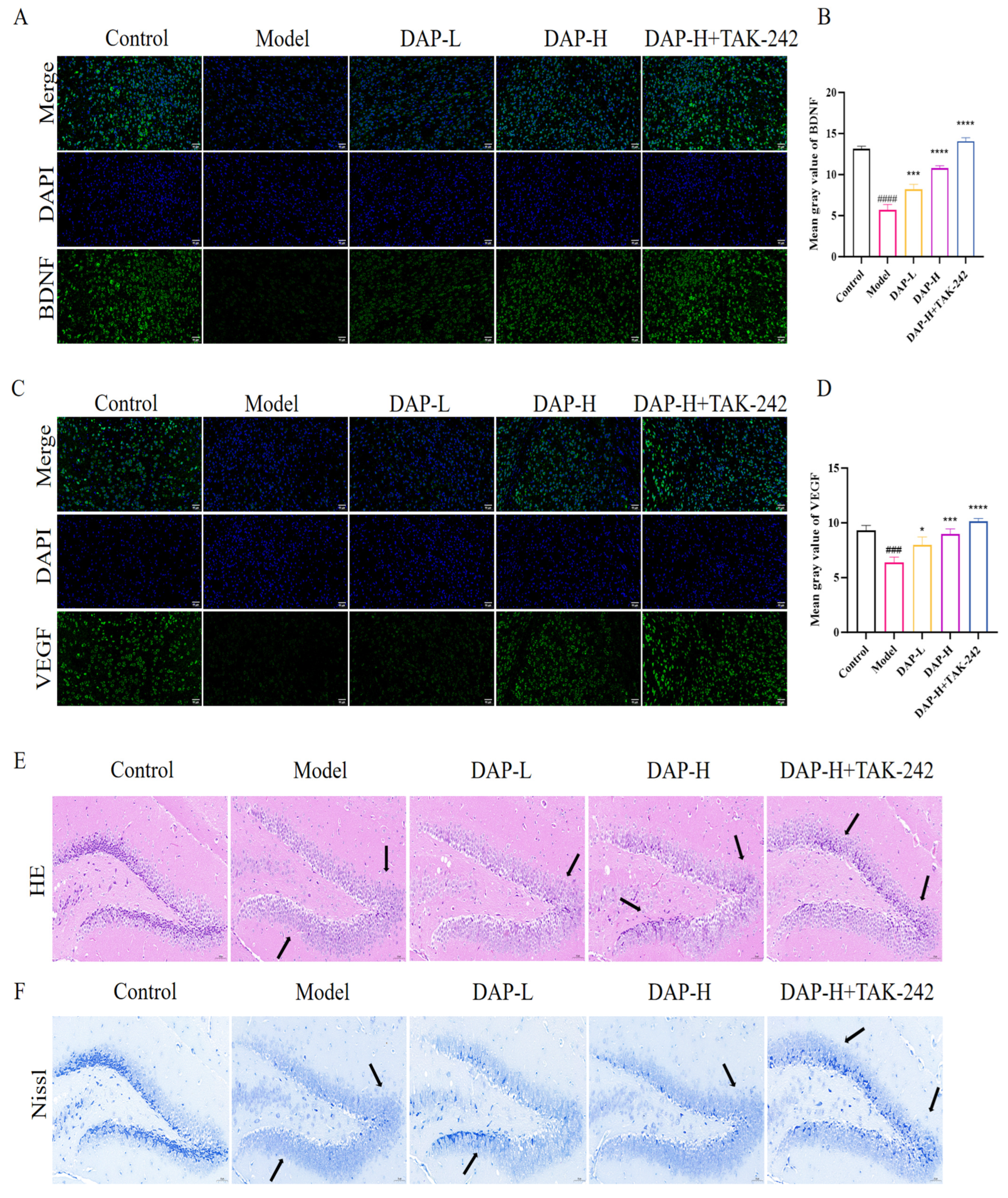 Nutrients 17 02306 g002