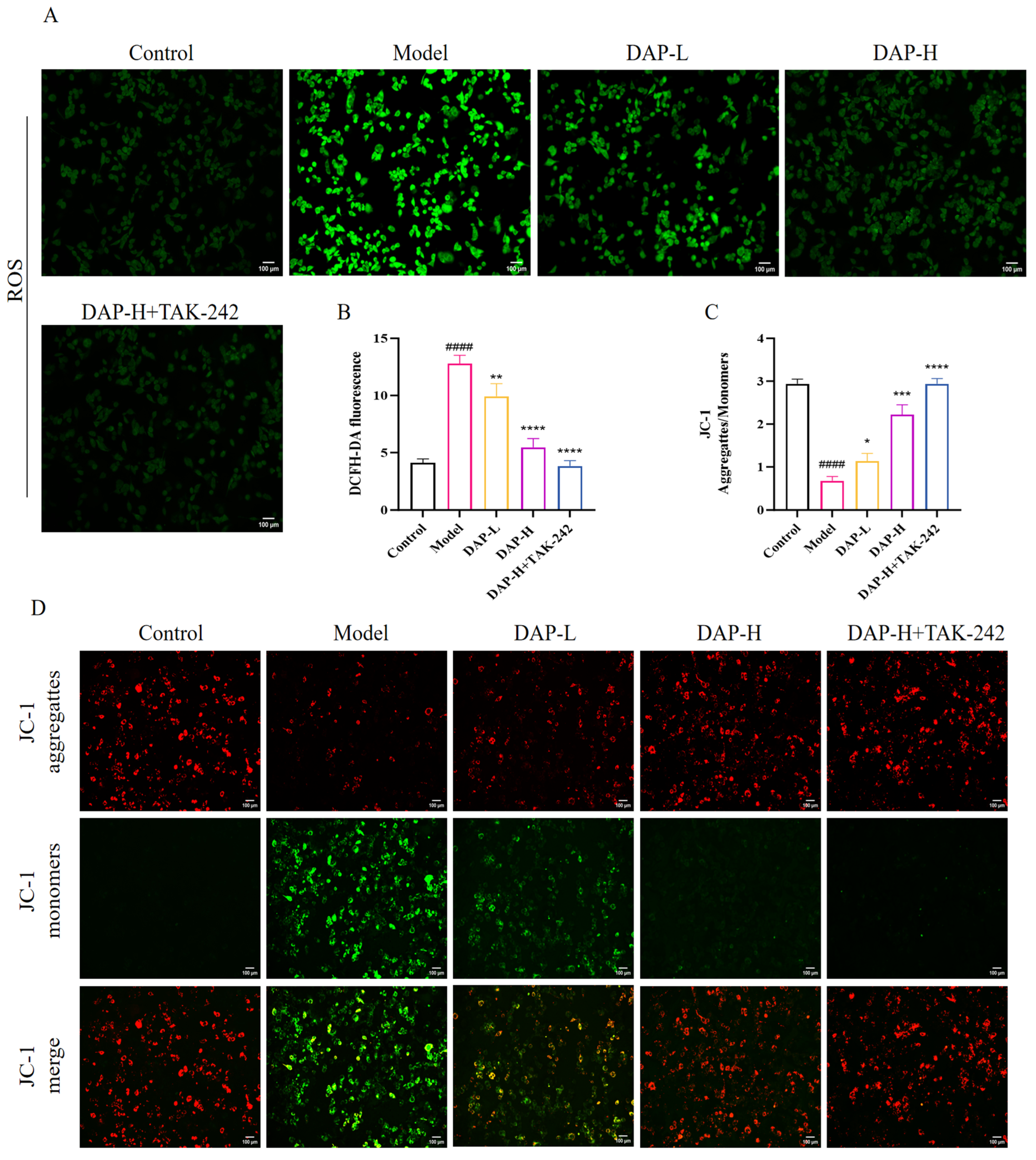 Nutrients 17 02306 g007