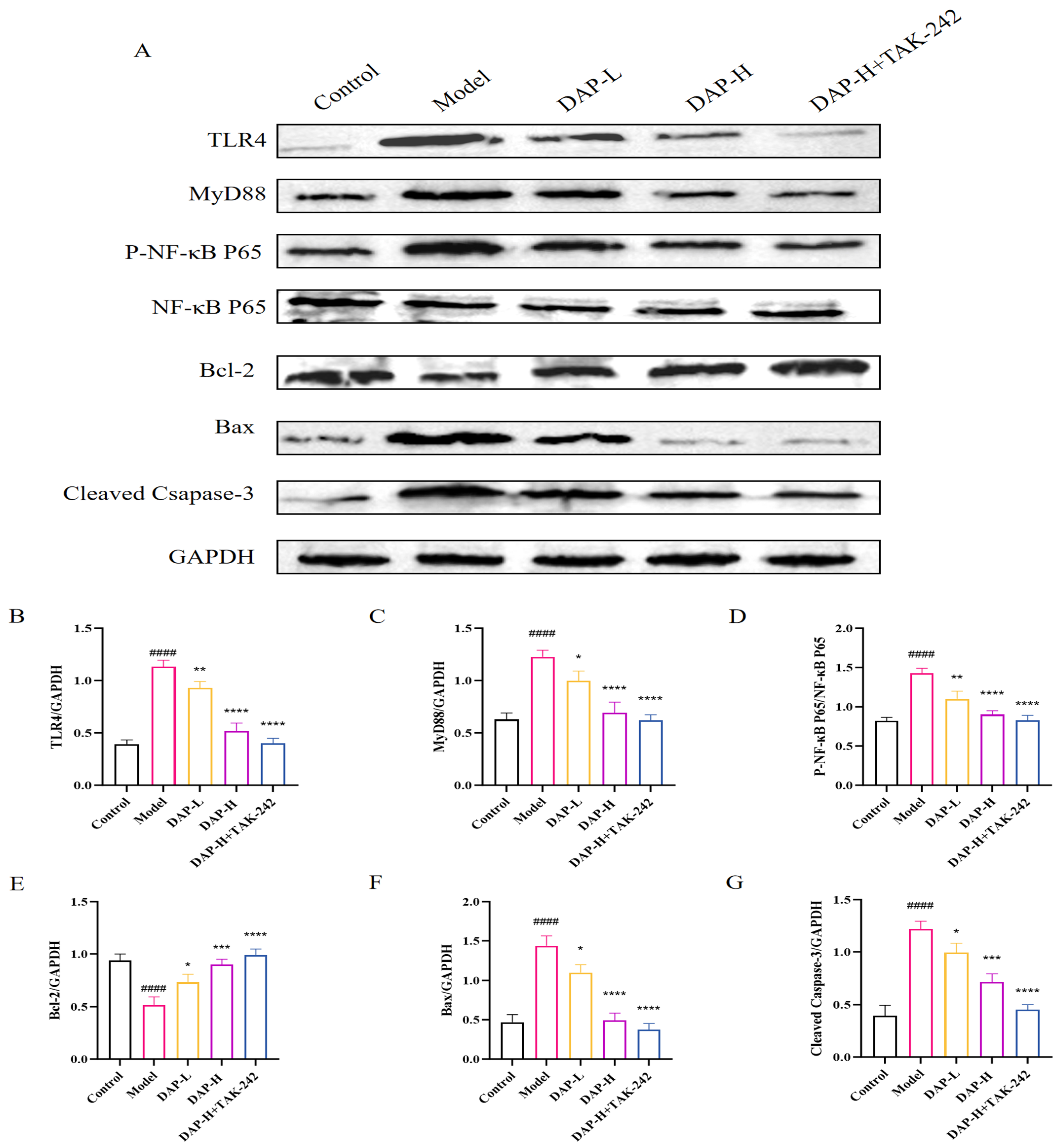 Nutrients 17 02306 g008