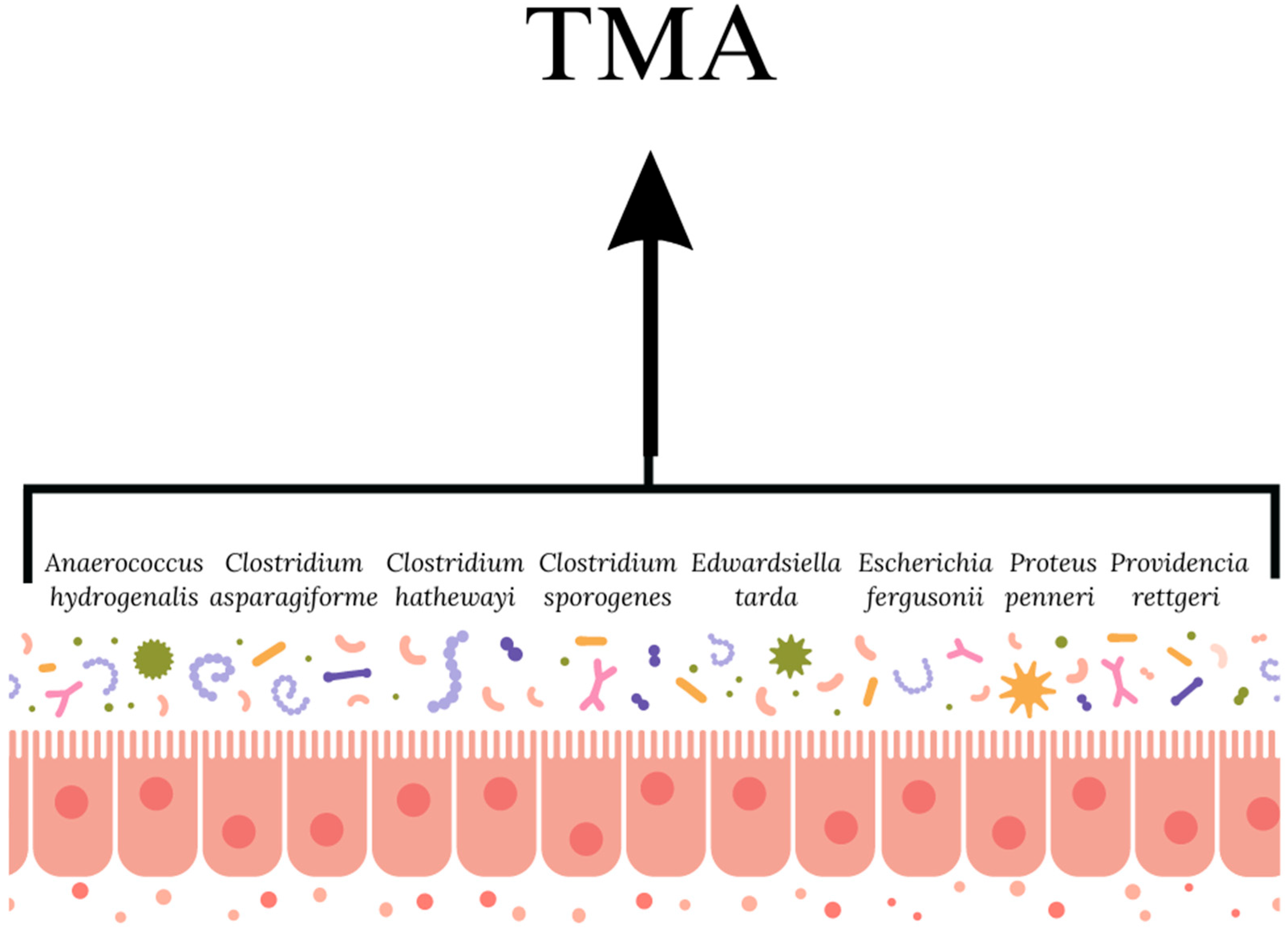Nutrients 17 02311 g002
