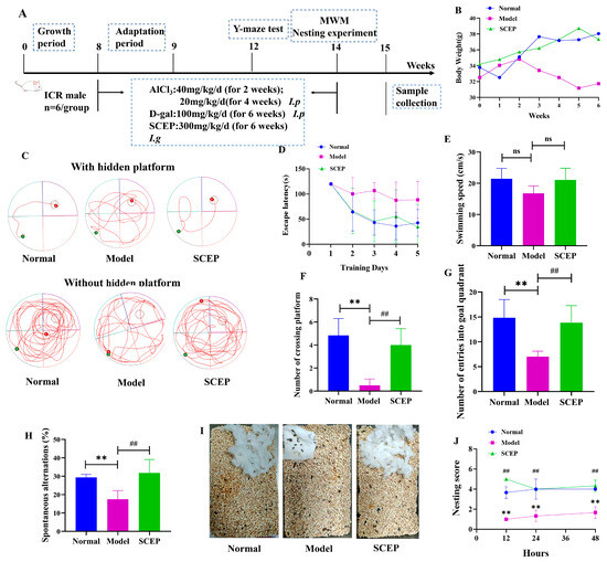 Sea Cucumber Egg Oligopeptides Ameliorate Cognitive