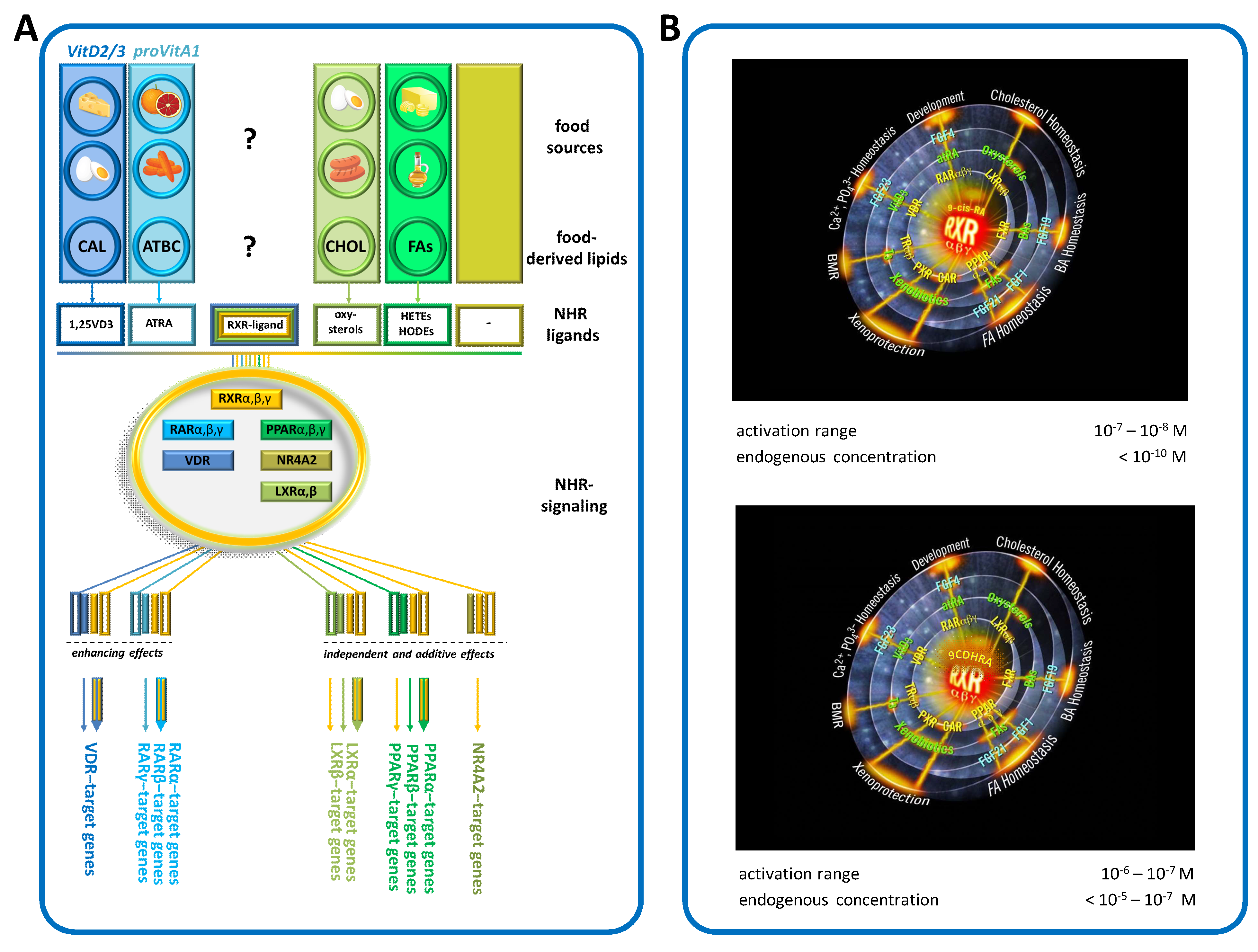Nutrients 17 02317 g002
