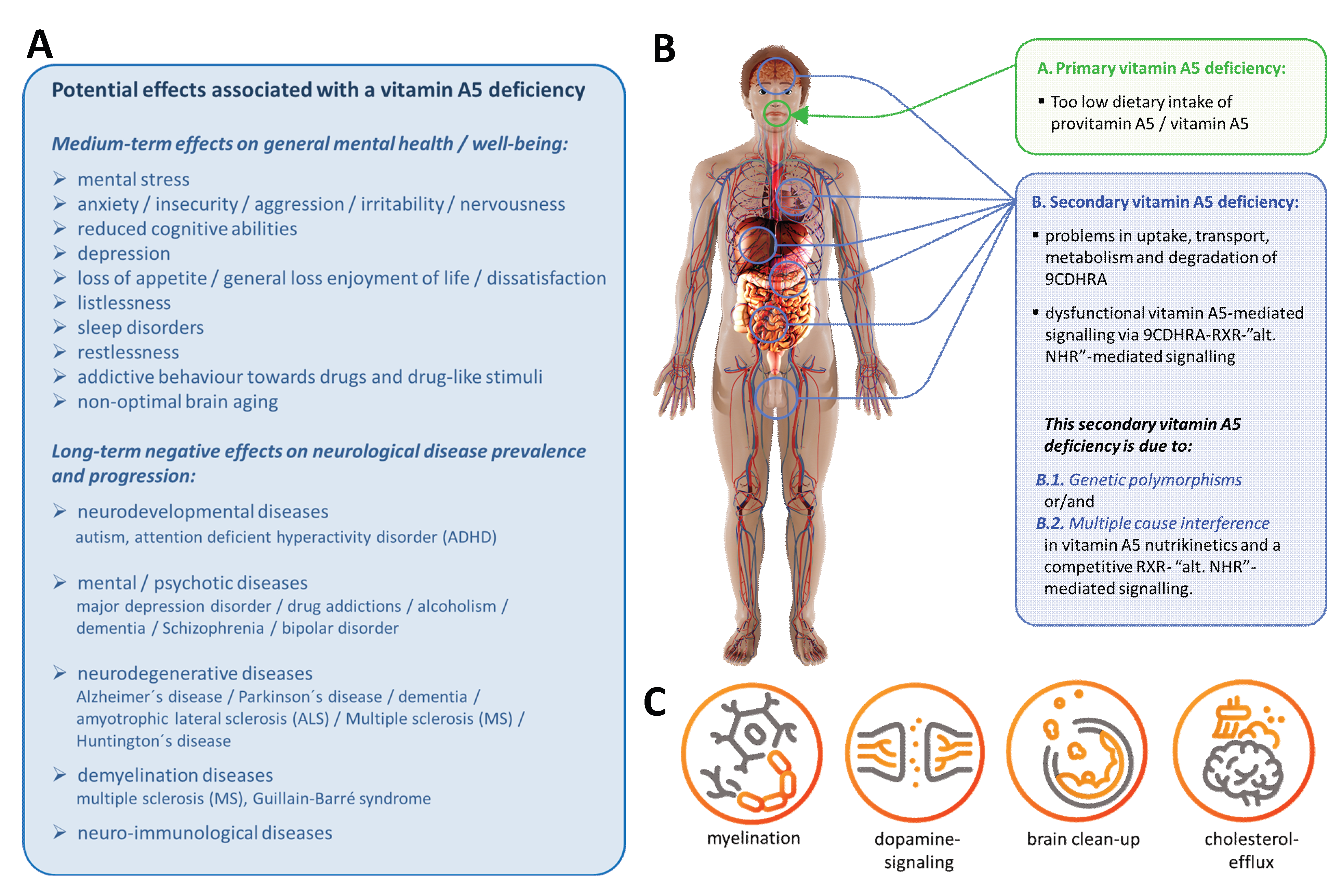 Nutrients 17 02317 g006