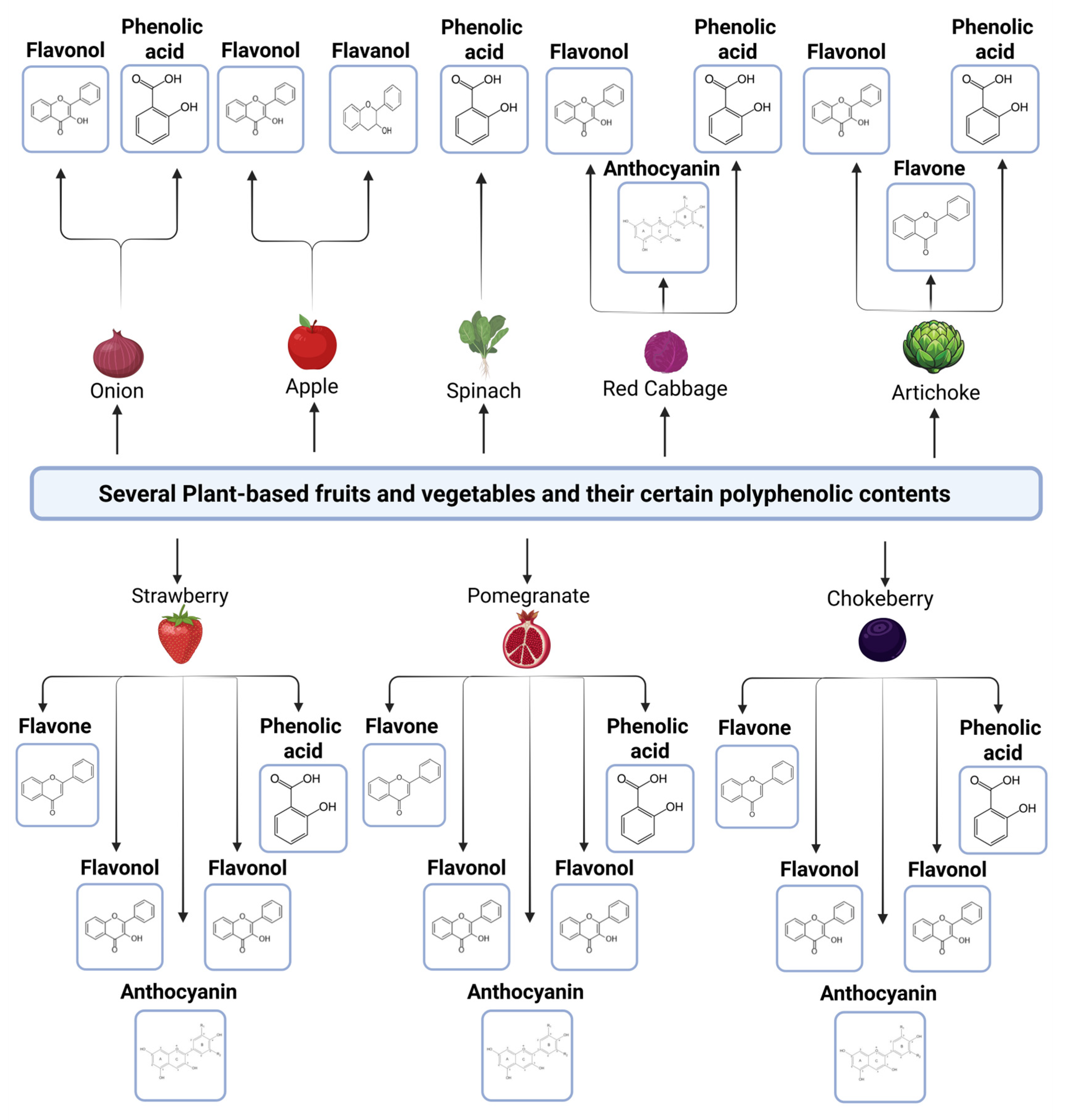 Nutrients 17 02325 g001 Nutrients 17 02325 g001