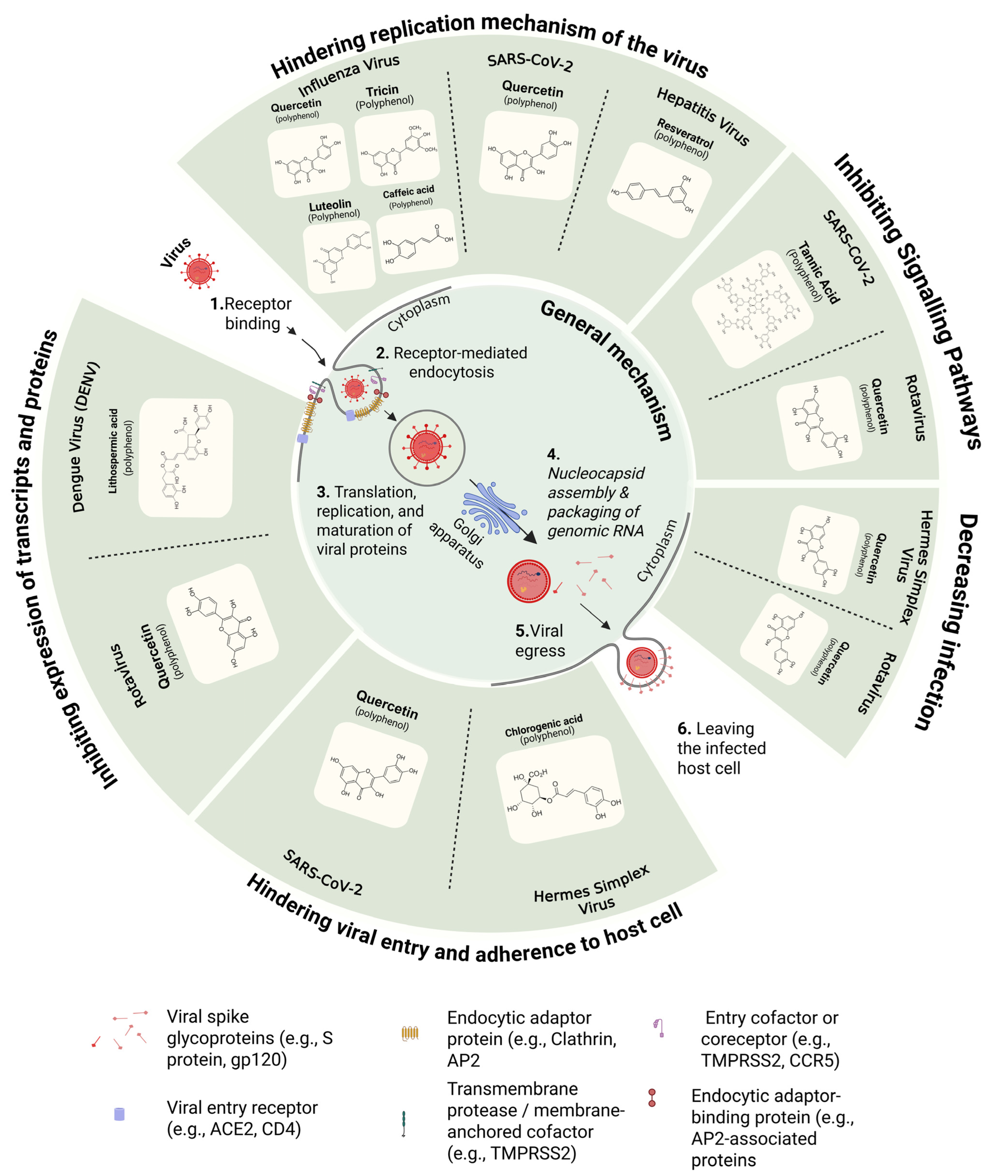 Nutrients 17 02325 g002 Nutrients 17 02325 g002