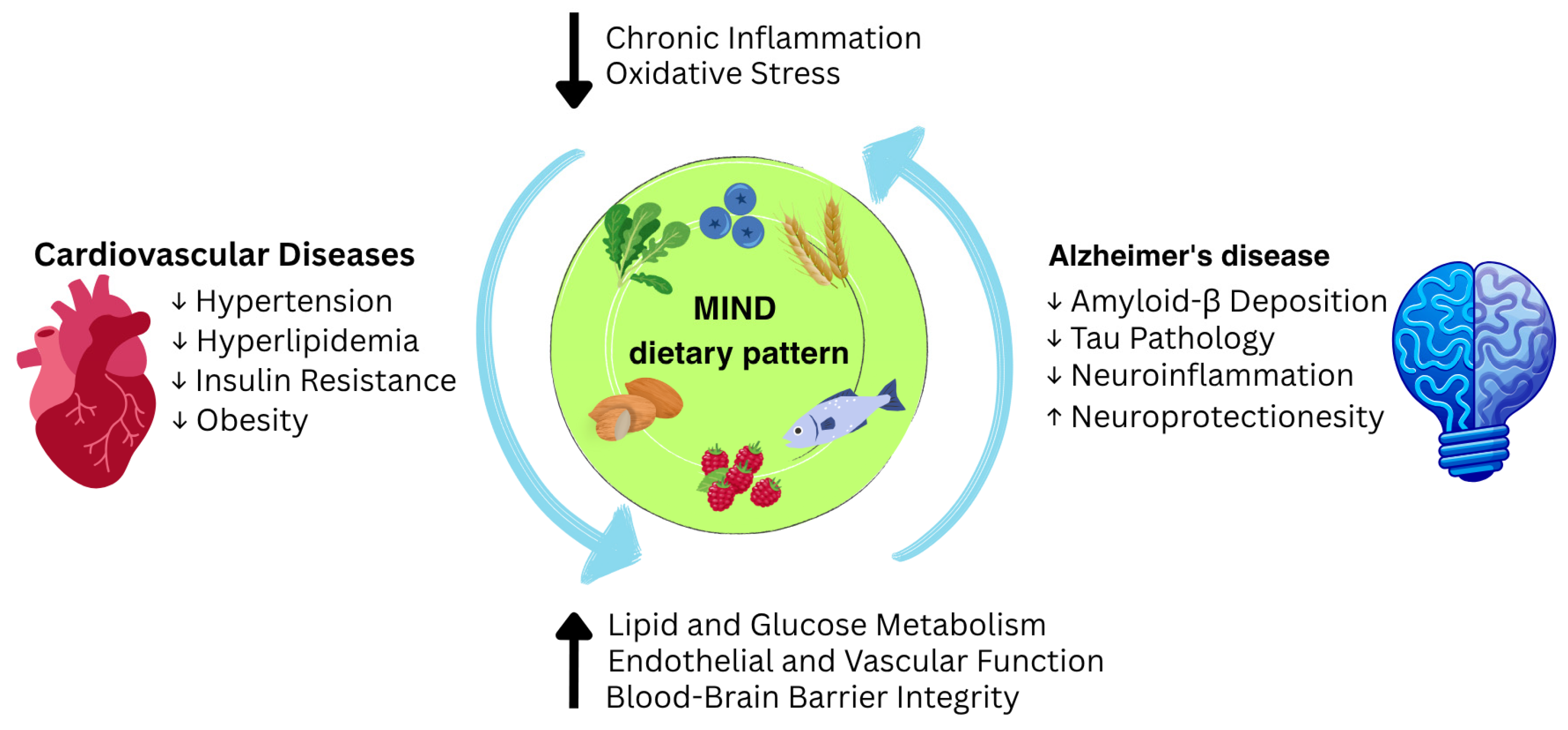 Nutrients 17 02328 g001