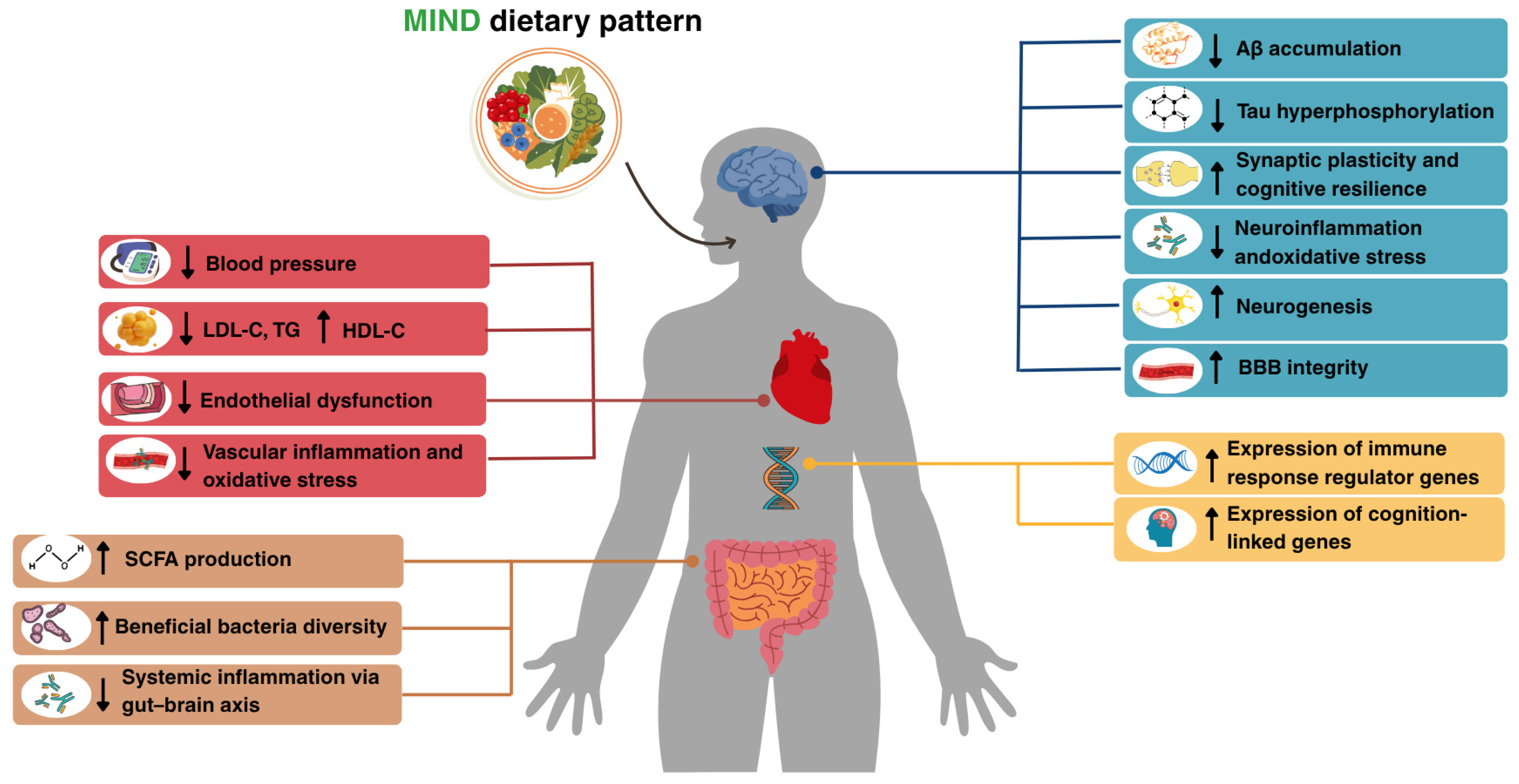 Nutrients 17 02328 g002