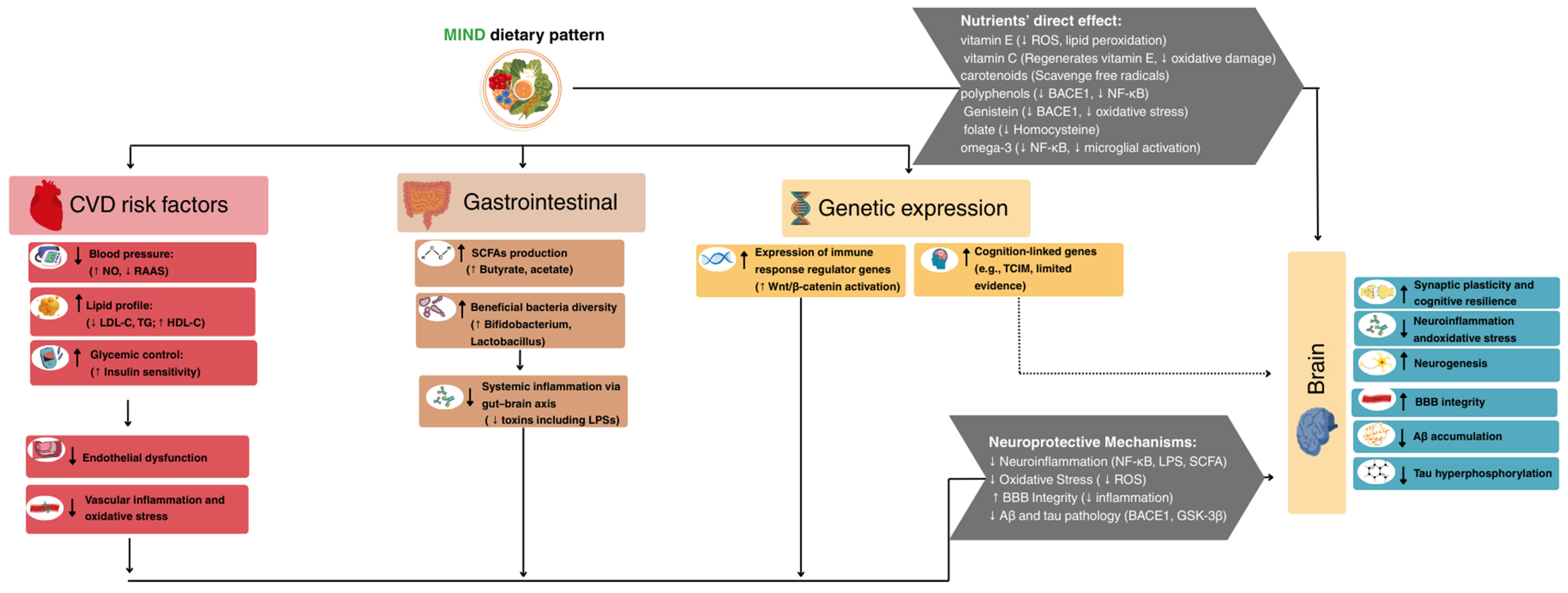 Nutrients 17 02328 g003