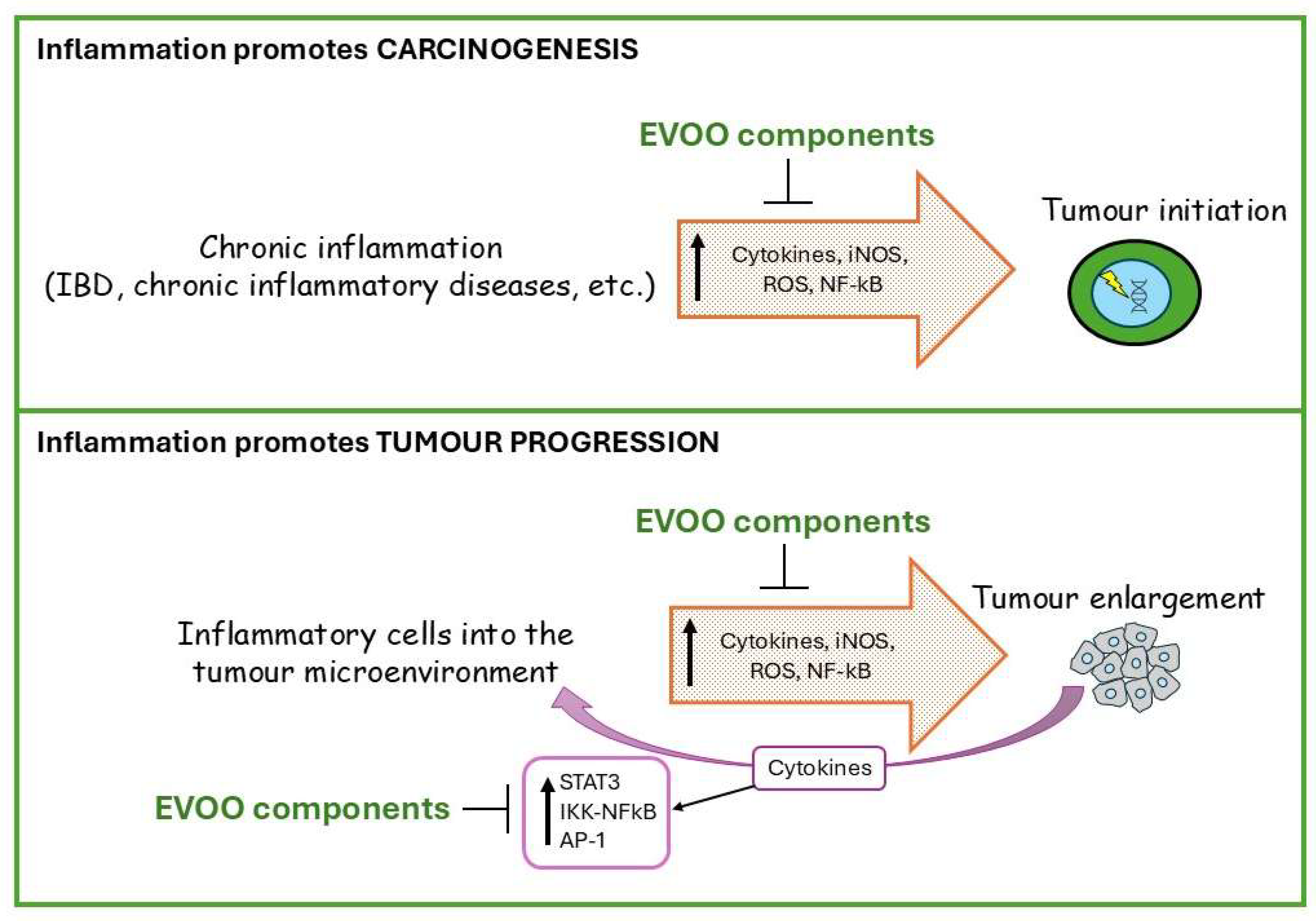 Nutrients 17 02334 g002