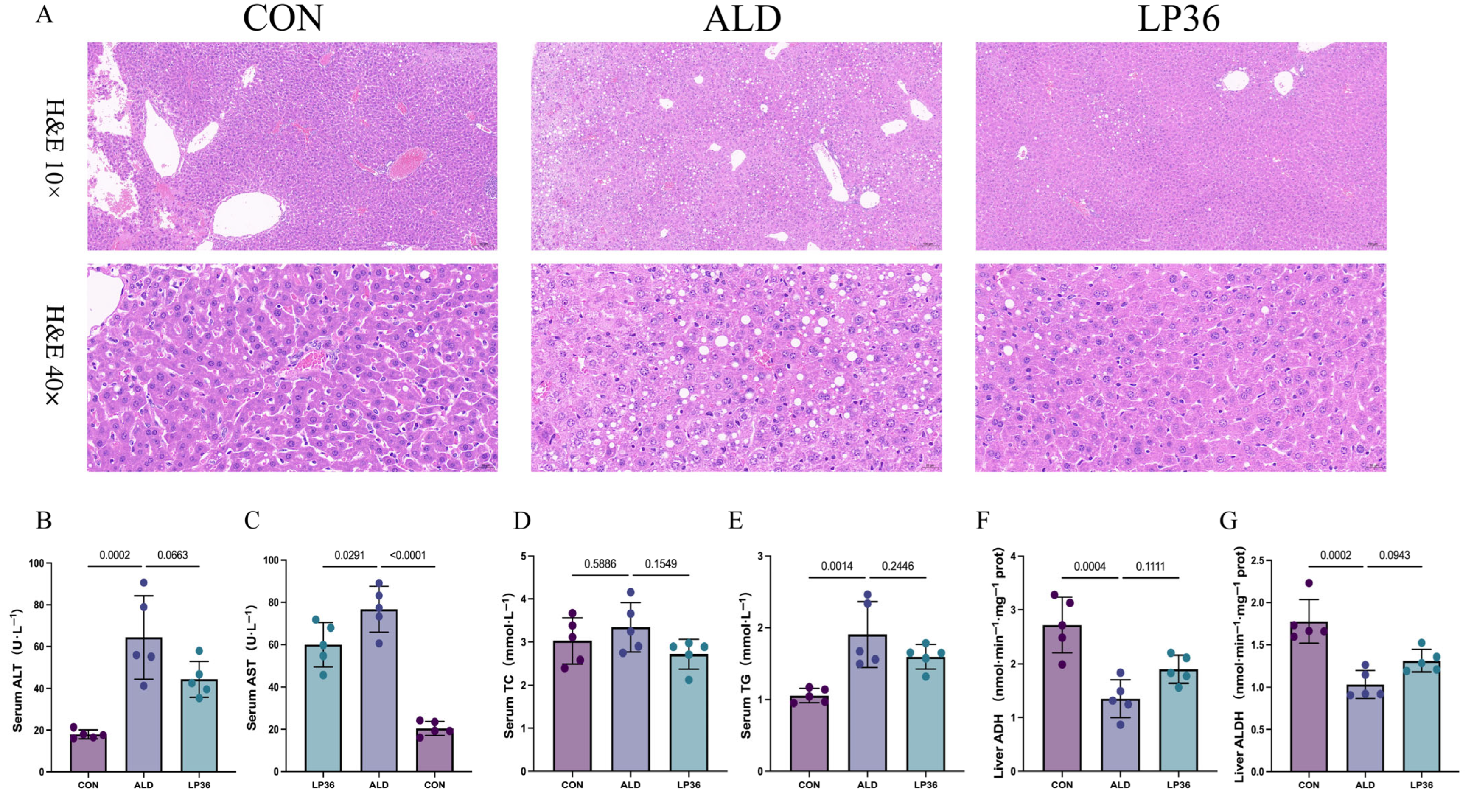 Nutrients 17 02340 g002