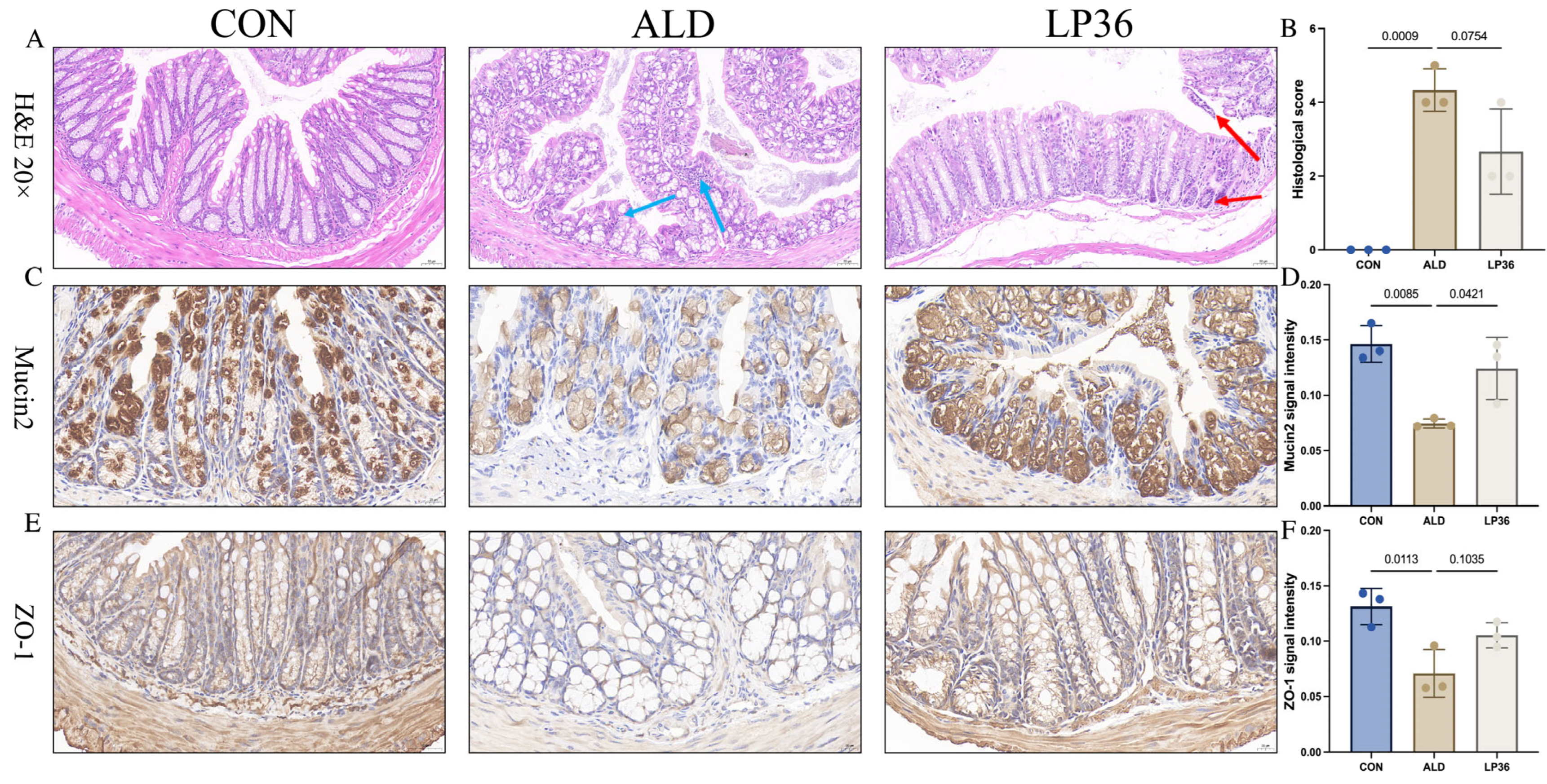 Nutrients 17 02340 g003