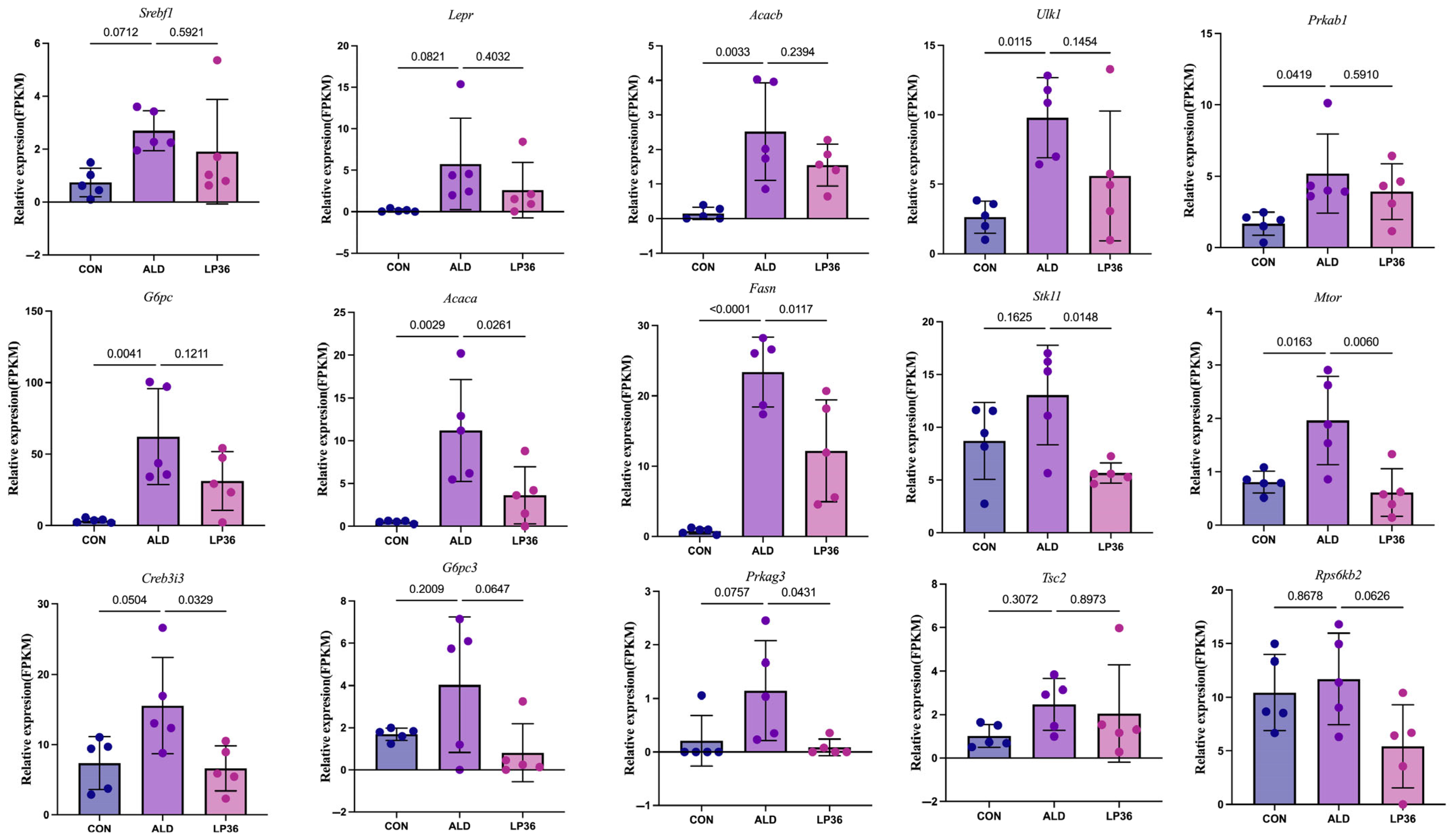 Nutrients 17 02340 g007