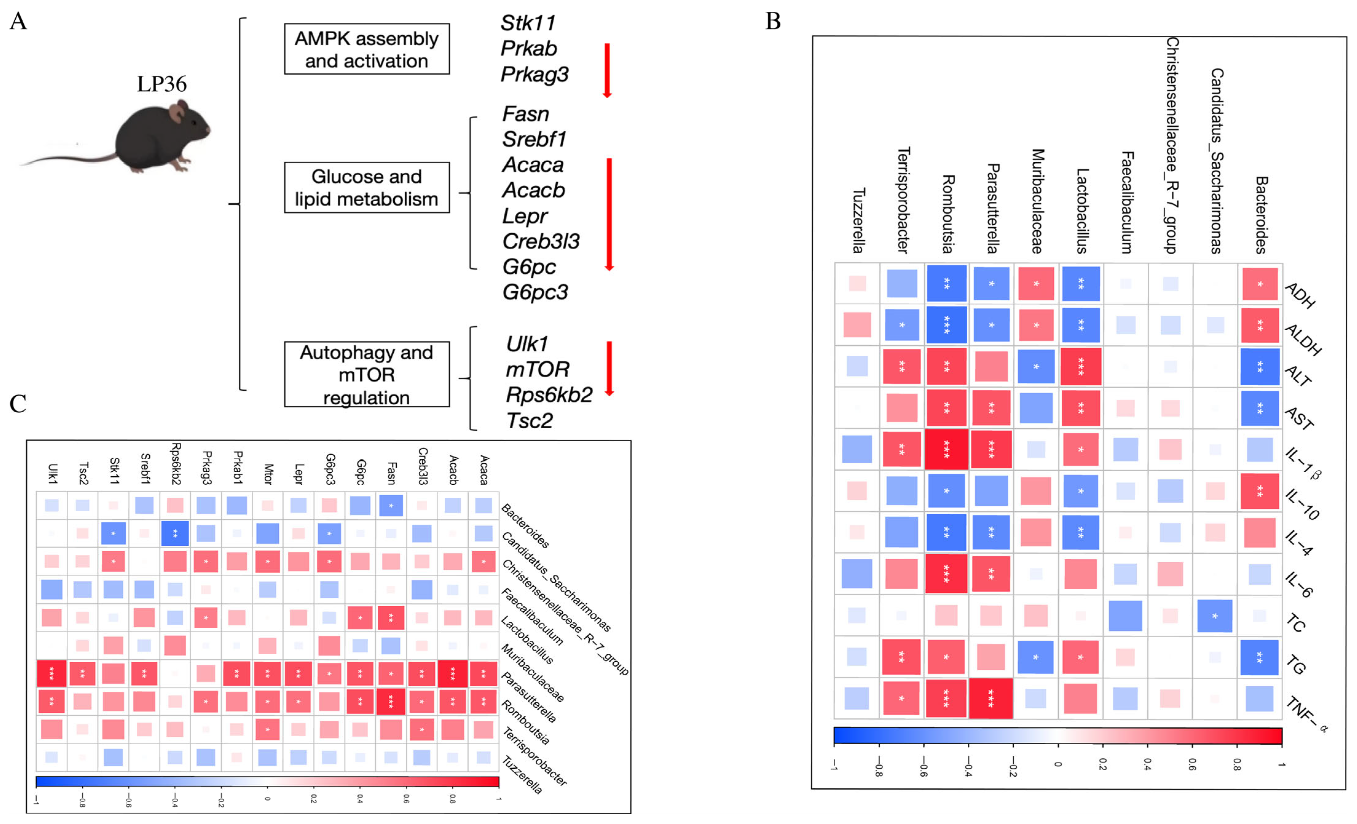 Nutrients 17 02340 g008