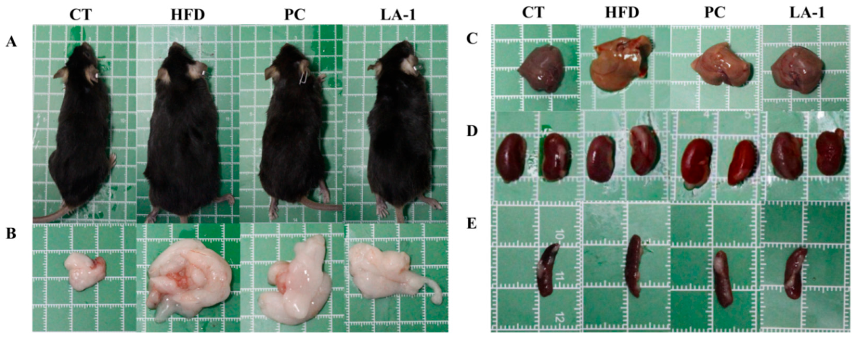 Nutrients 17 02346 g002