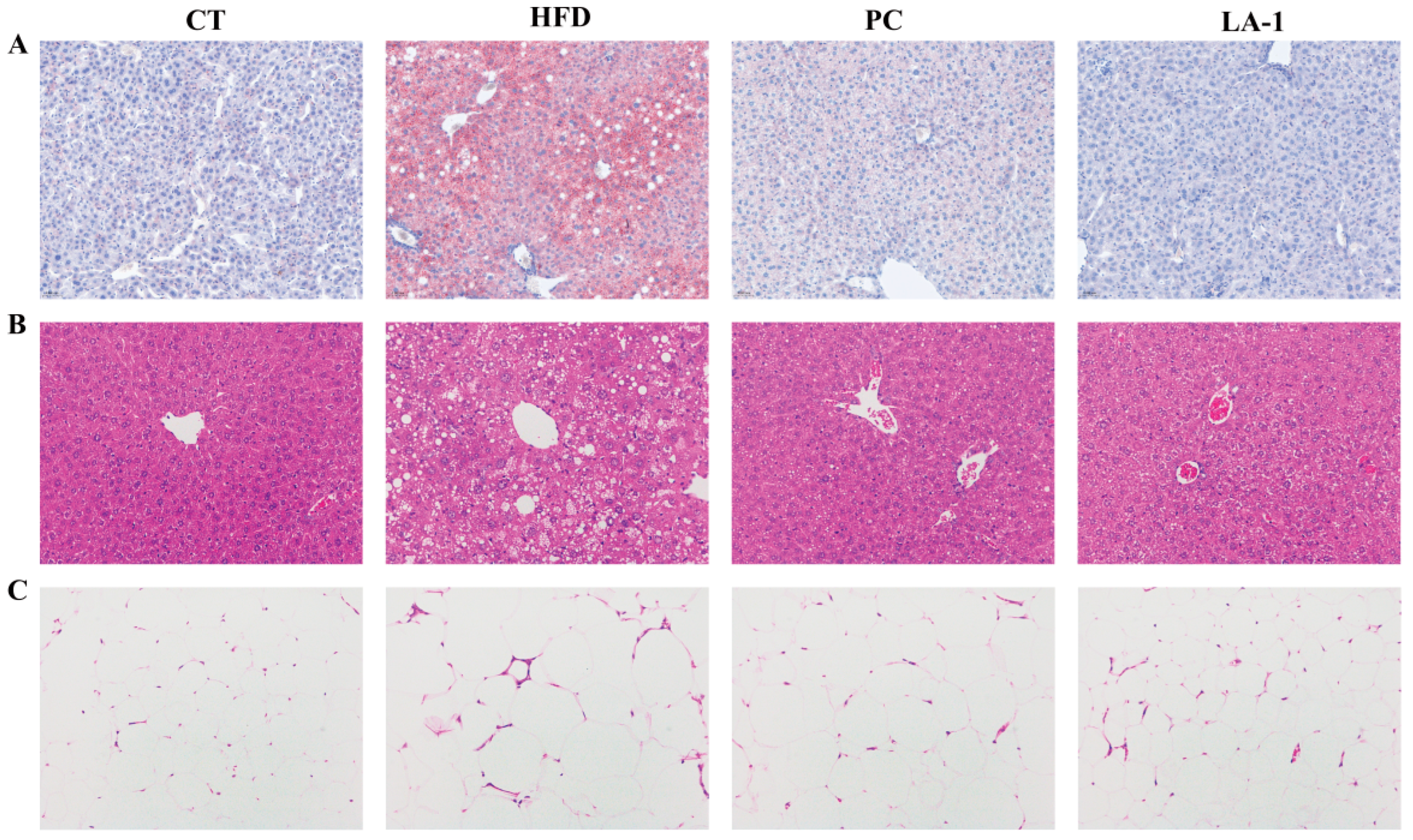 Nutrients 17 02346 g003