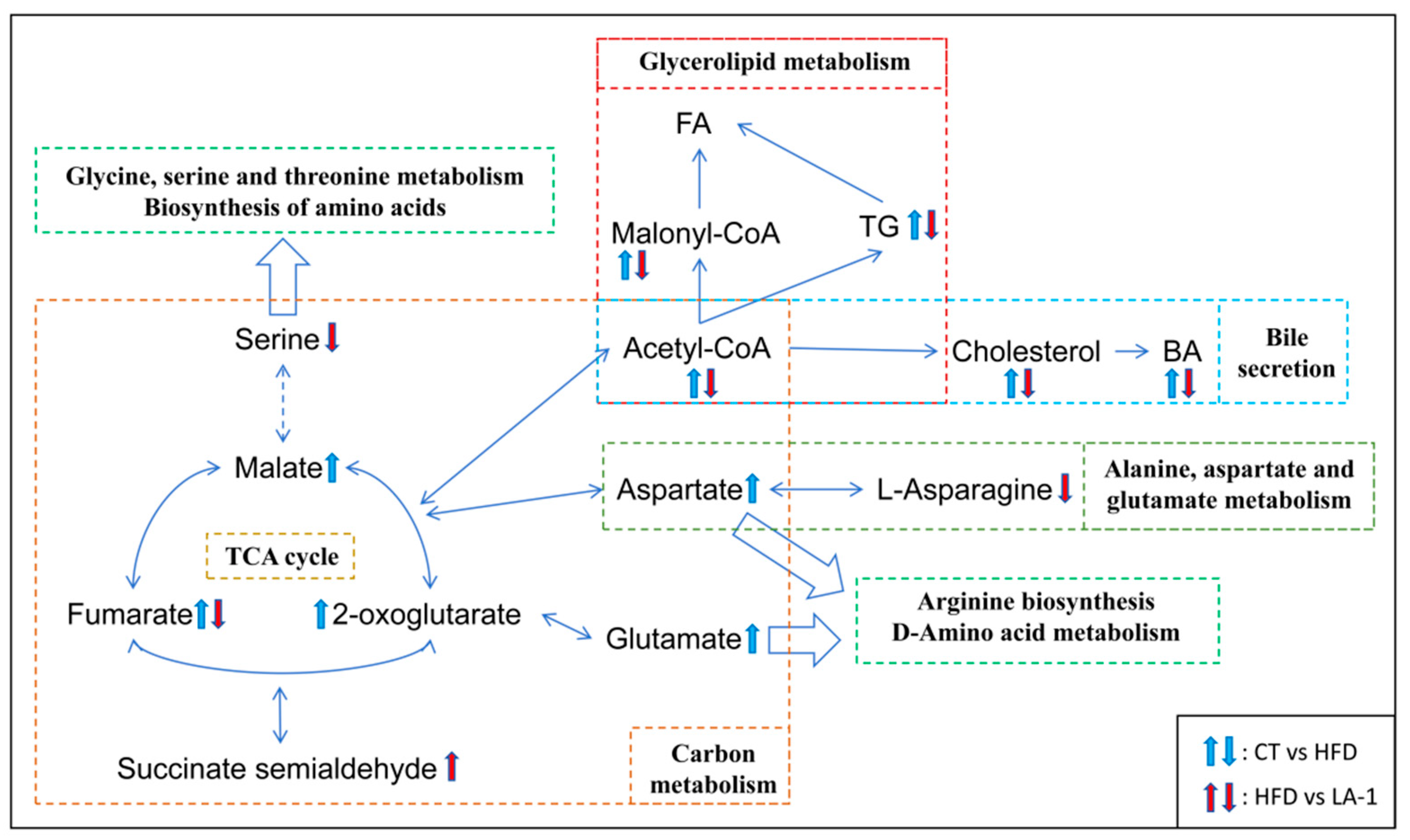 Nutrients 17 02346 g007