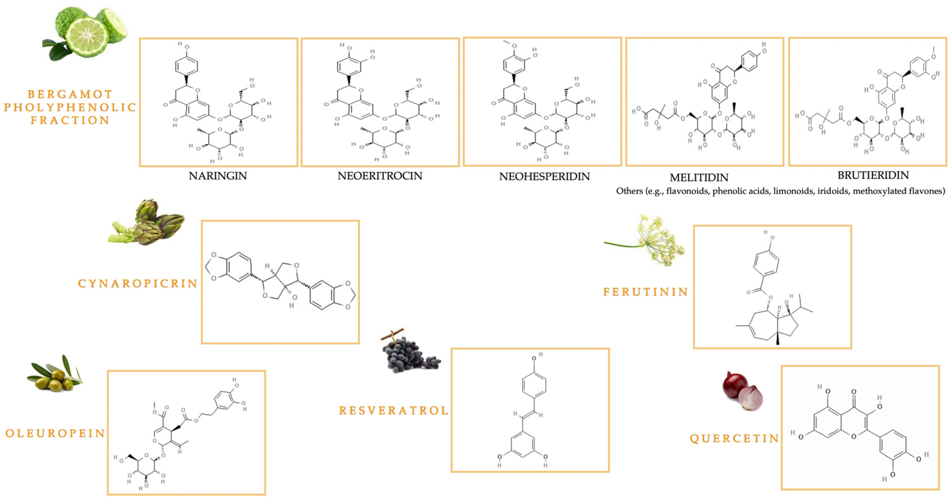 Nutrients 17 02354 g001