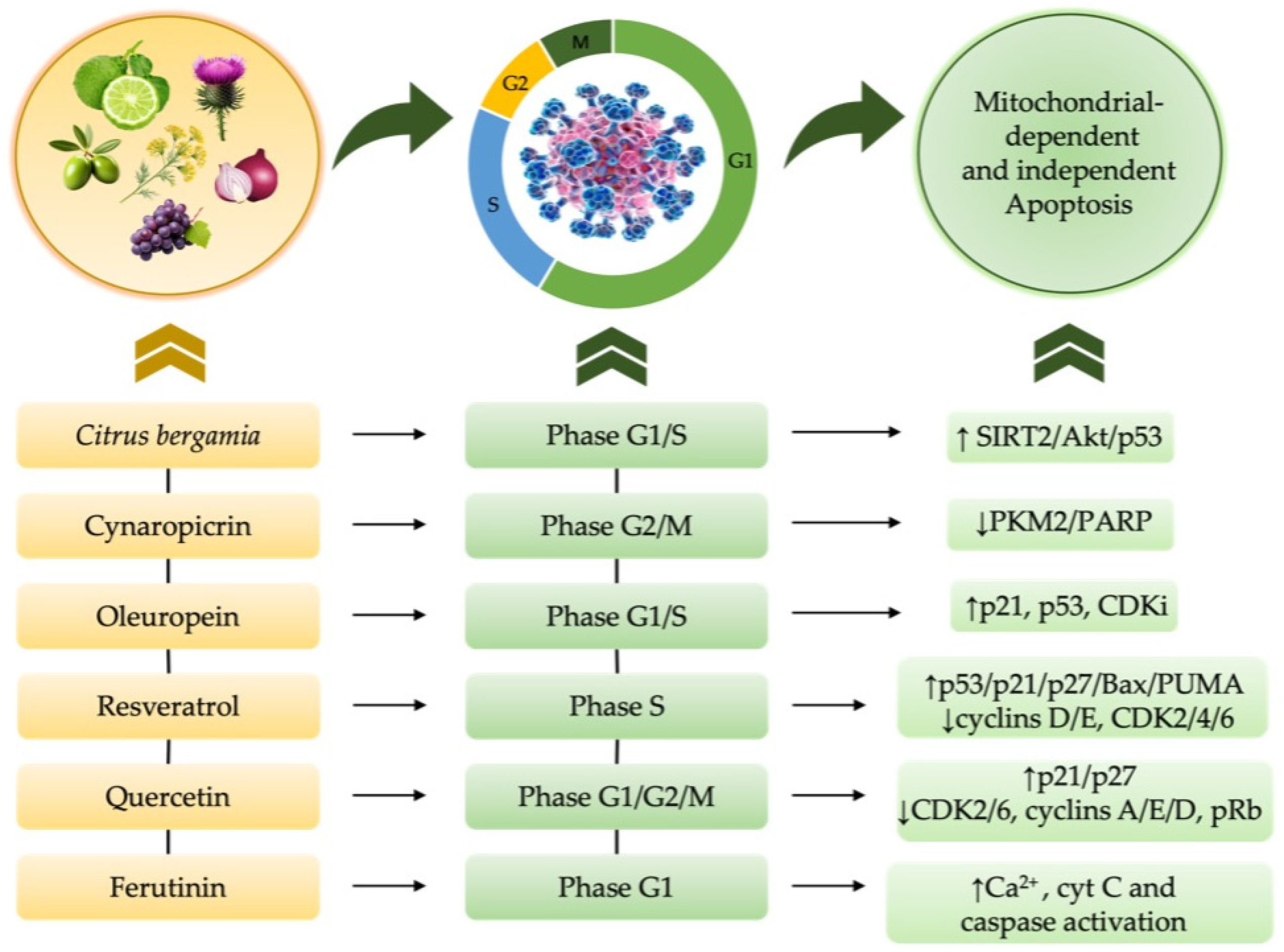 Nutrients 17 02354 g003