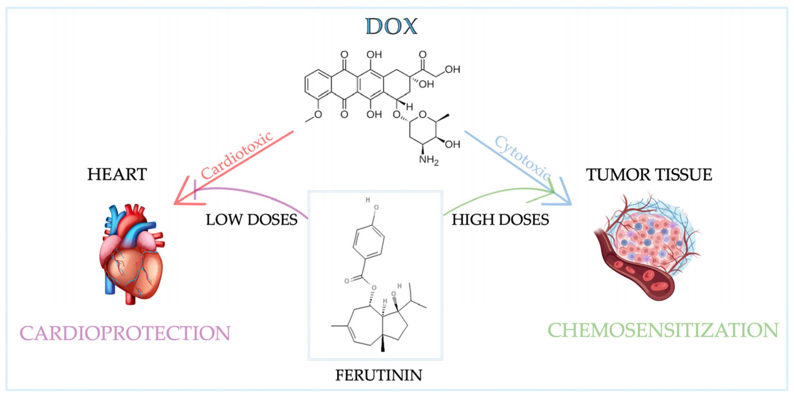Nutrients 17 02354 g004