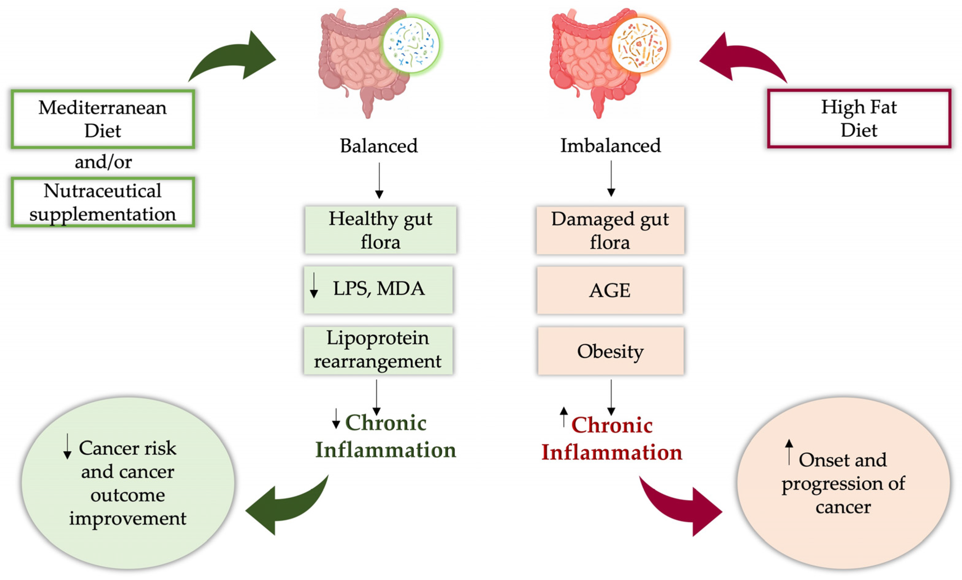 Nutrients 17 02354 g005