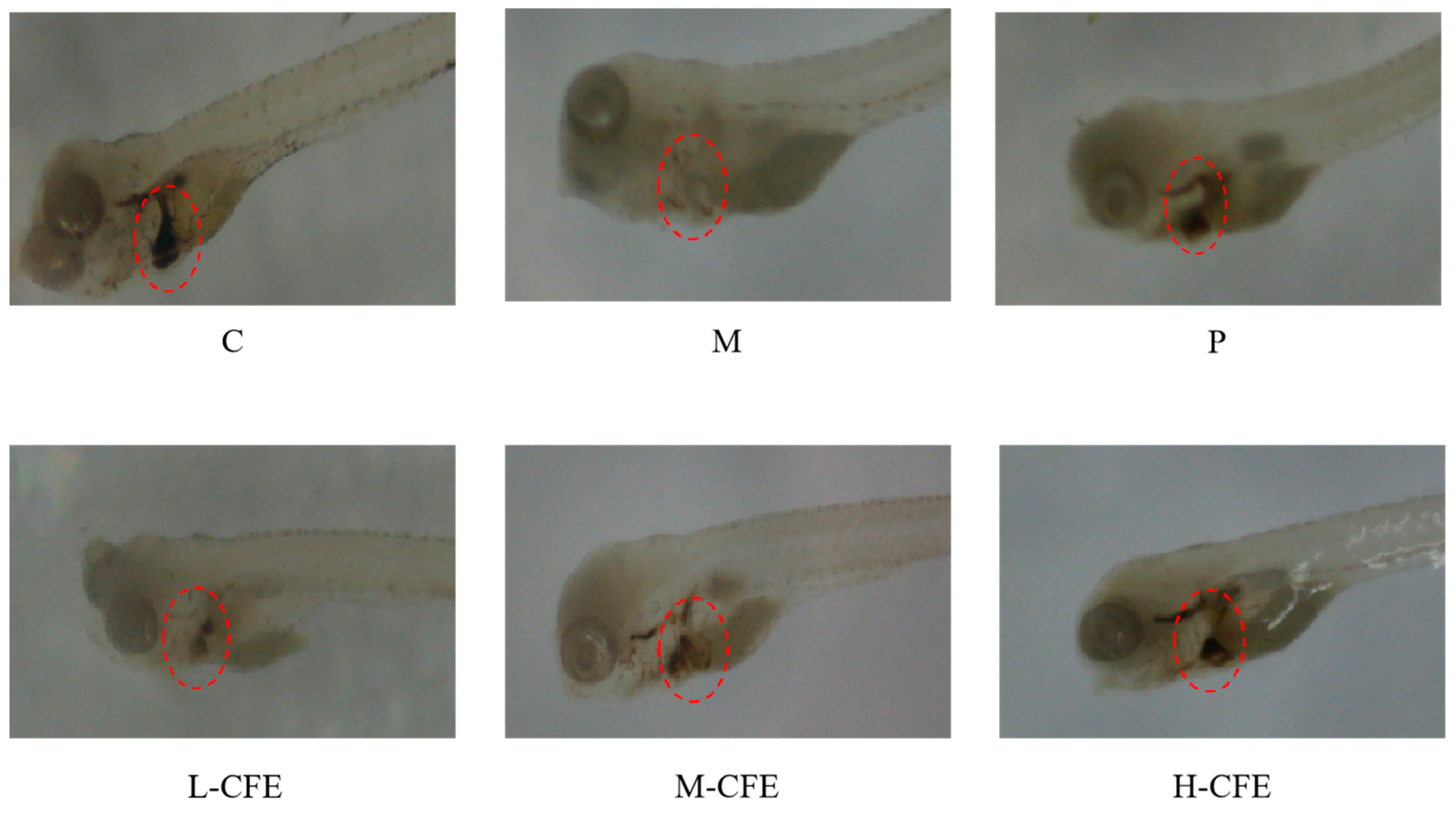 Nutrients 17 02358 g004