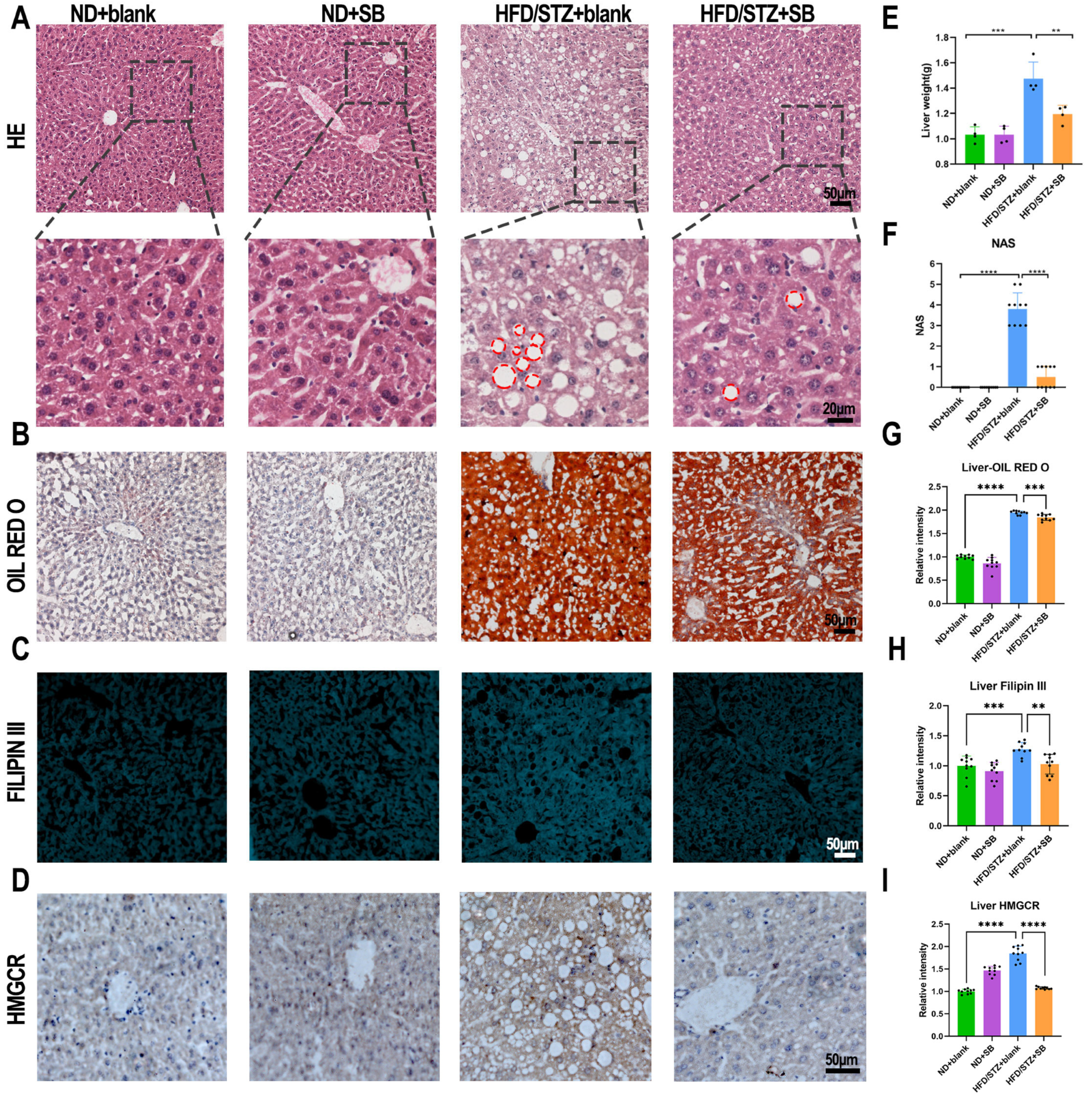 Nutrients 17 02363 g003