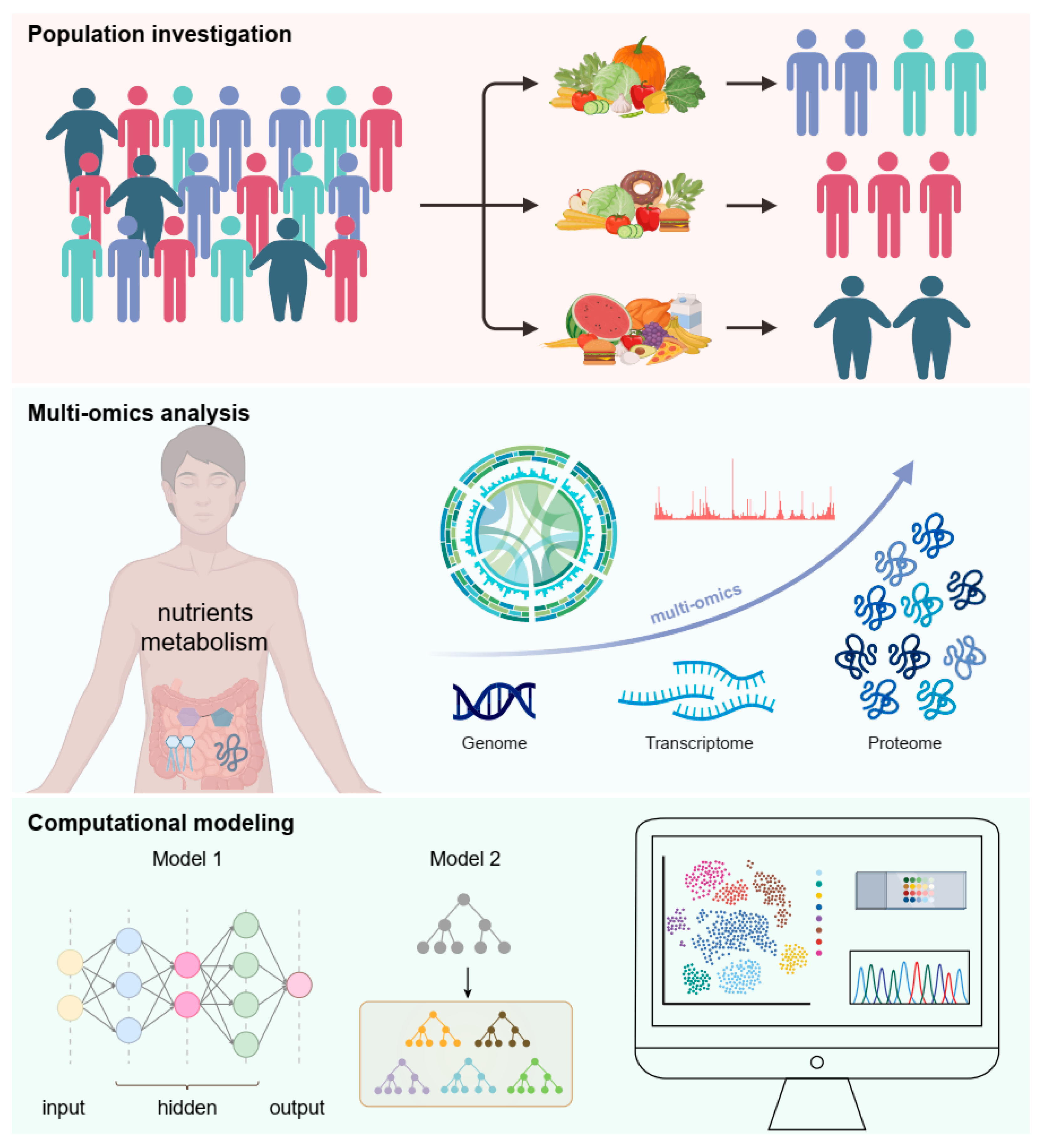 Nutrients 17 02367 g004
