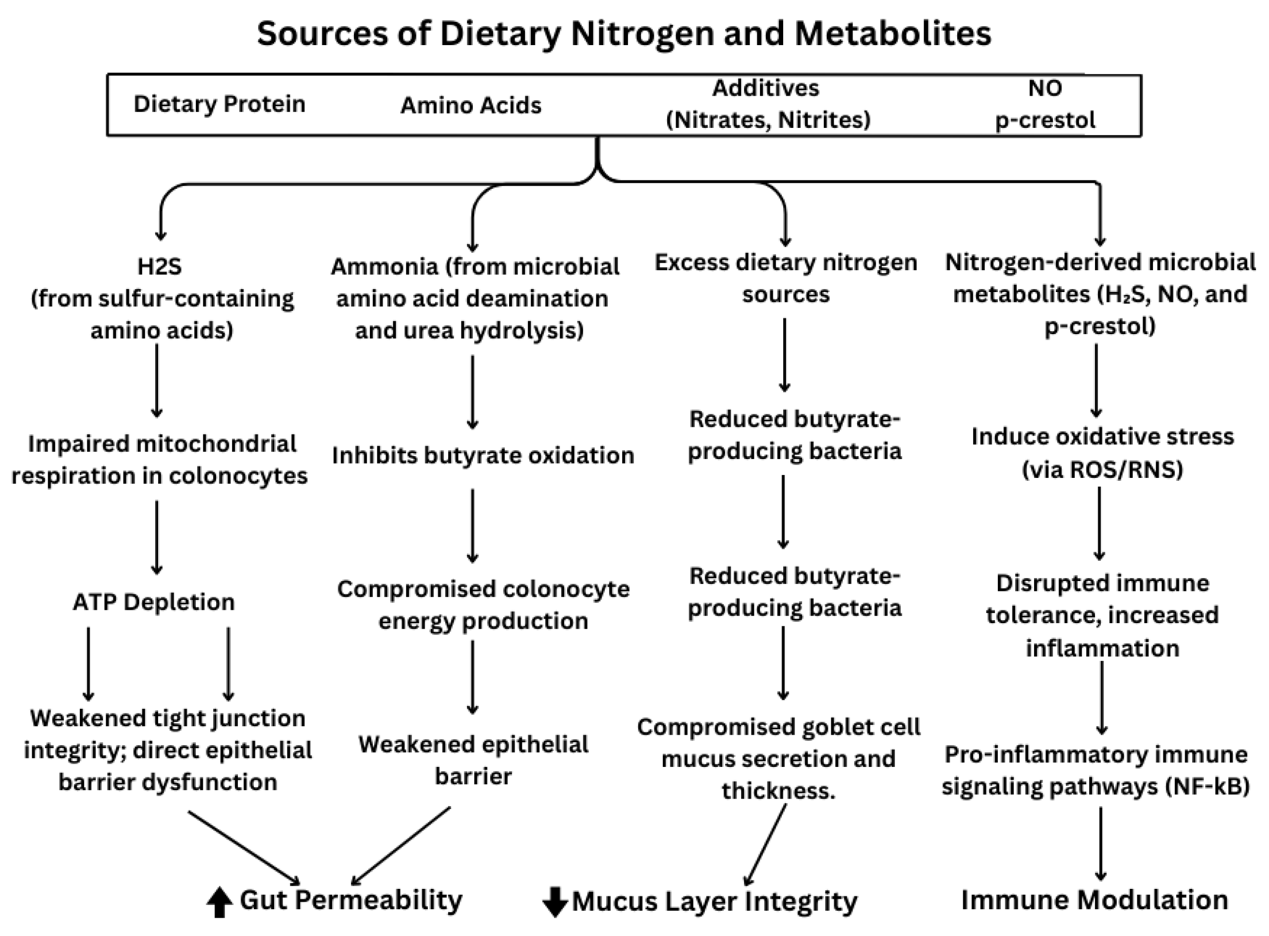 Nutrients 17 02373 g001