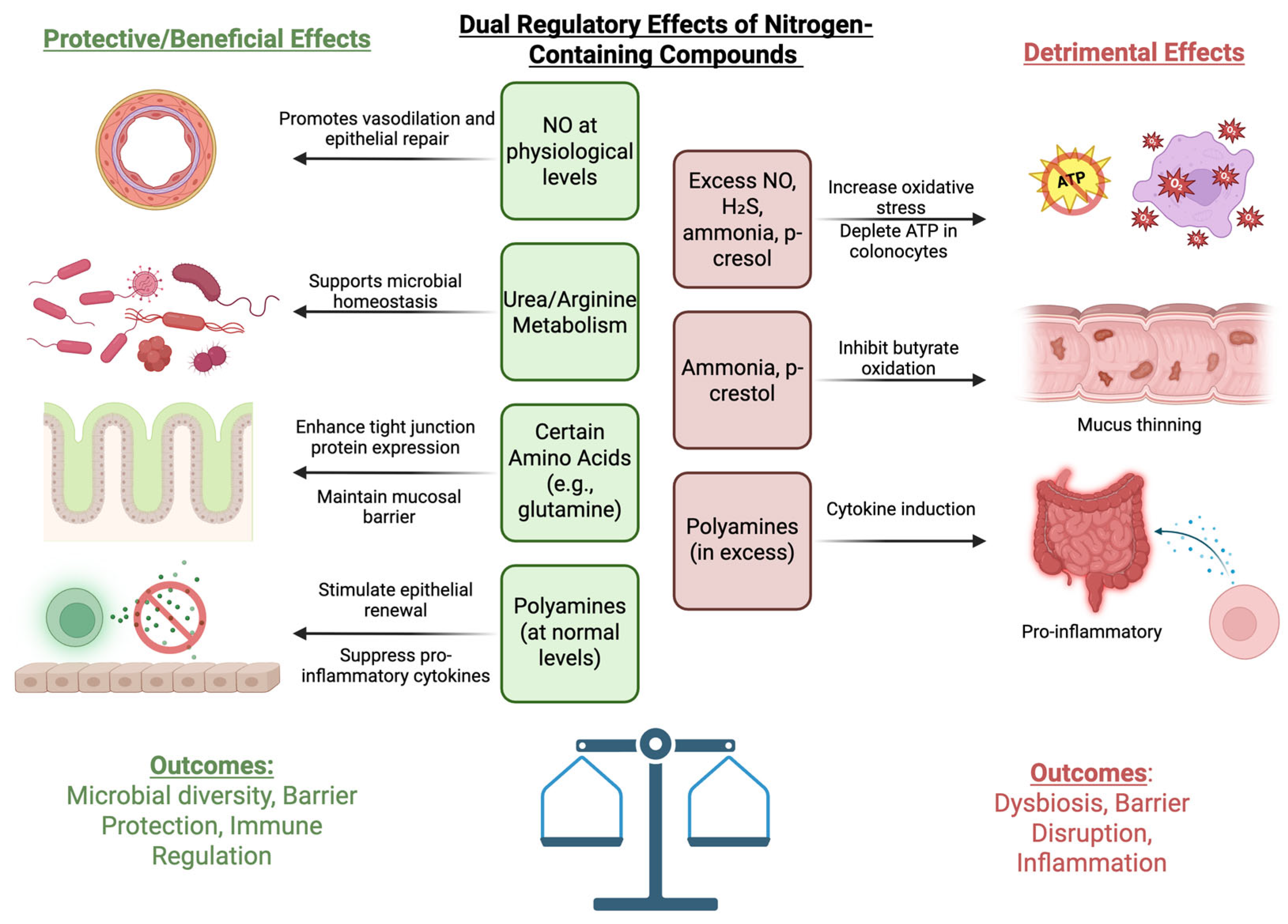 Nutrients 17 02373 g002