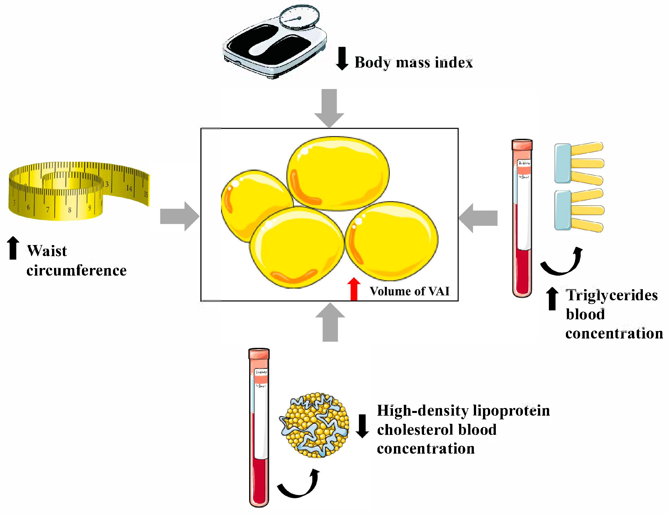 Nutrients 17 02374 g001