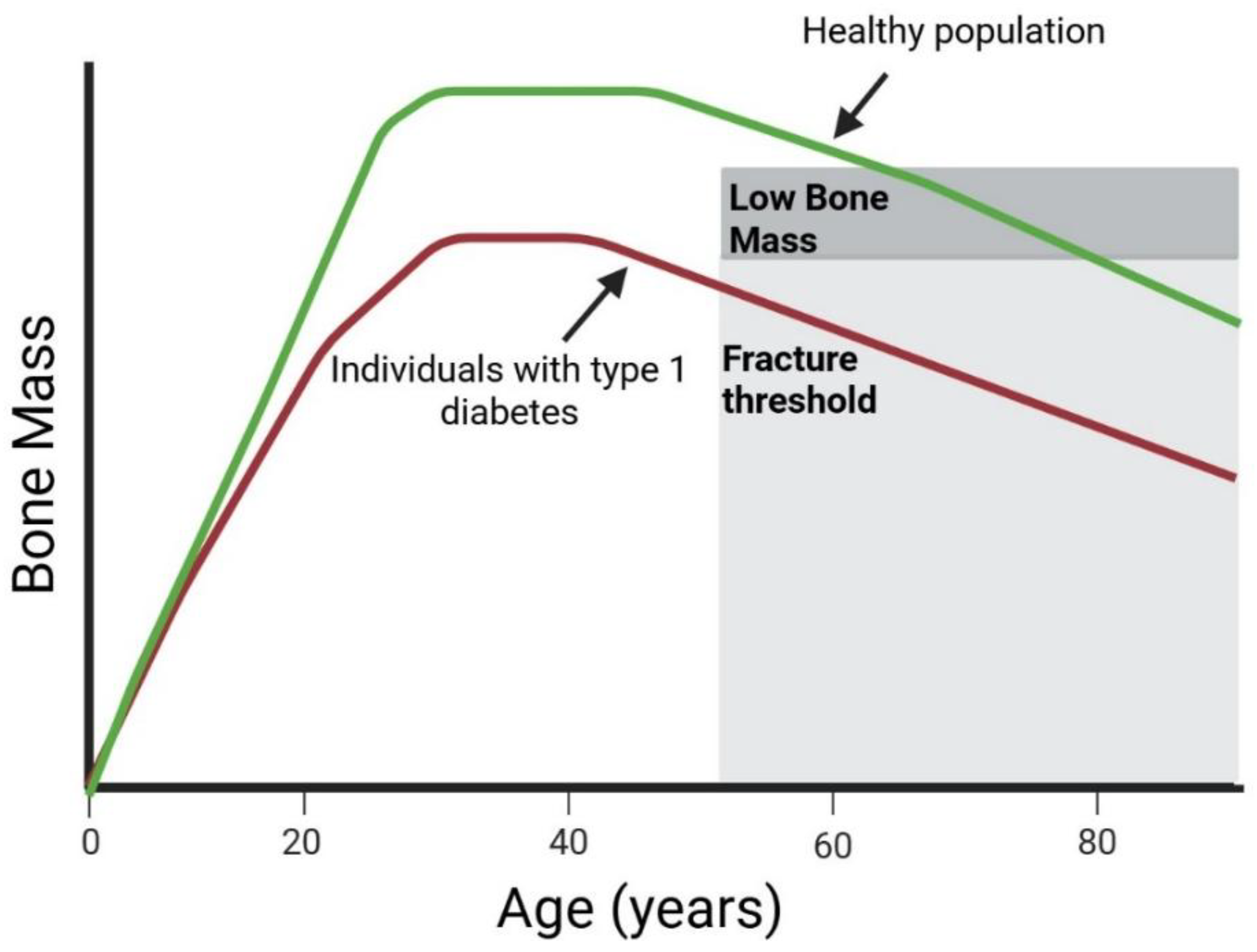 Nutrients 17 02400 g001