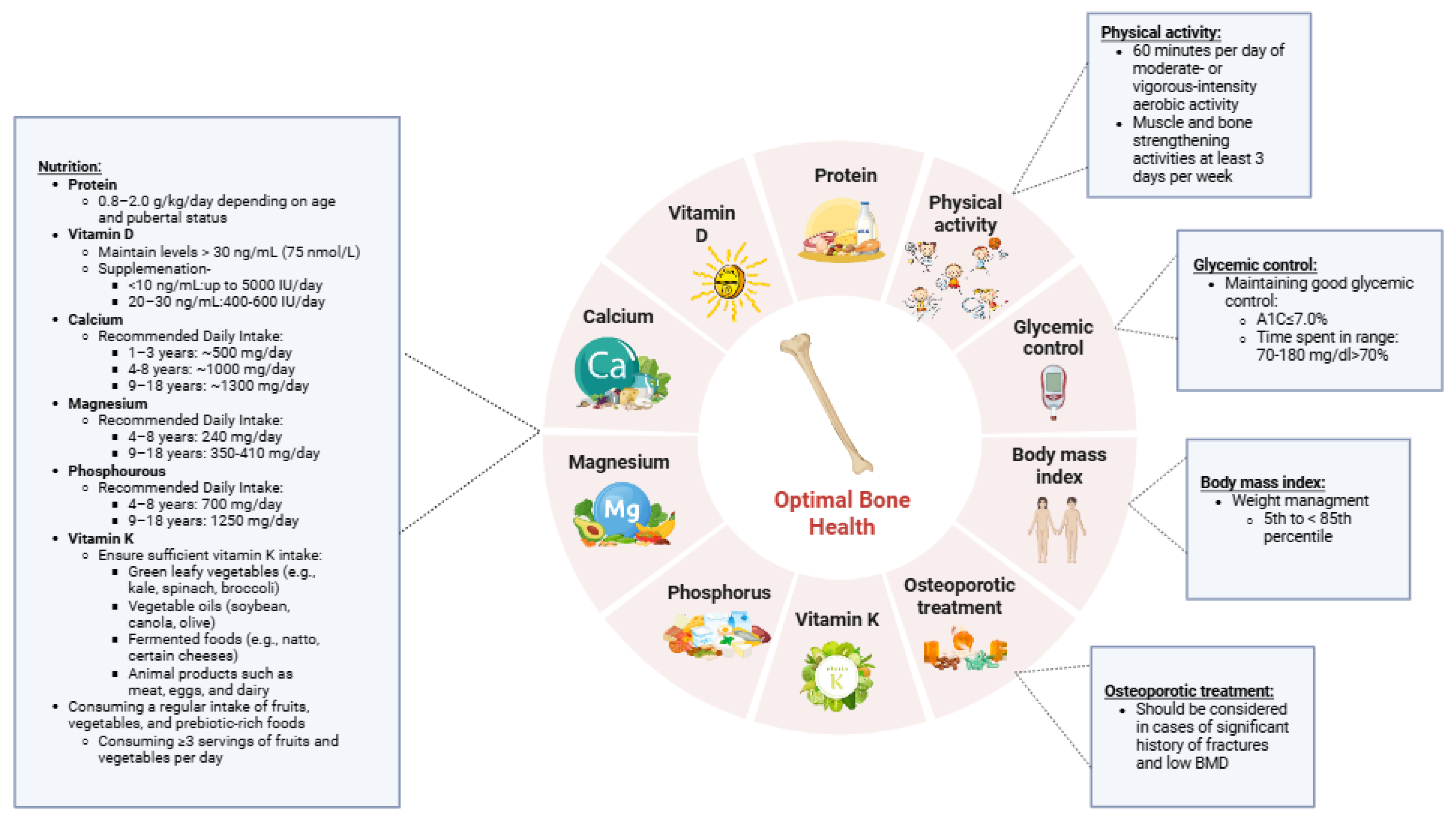 Nutrients 17 02400 g002
