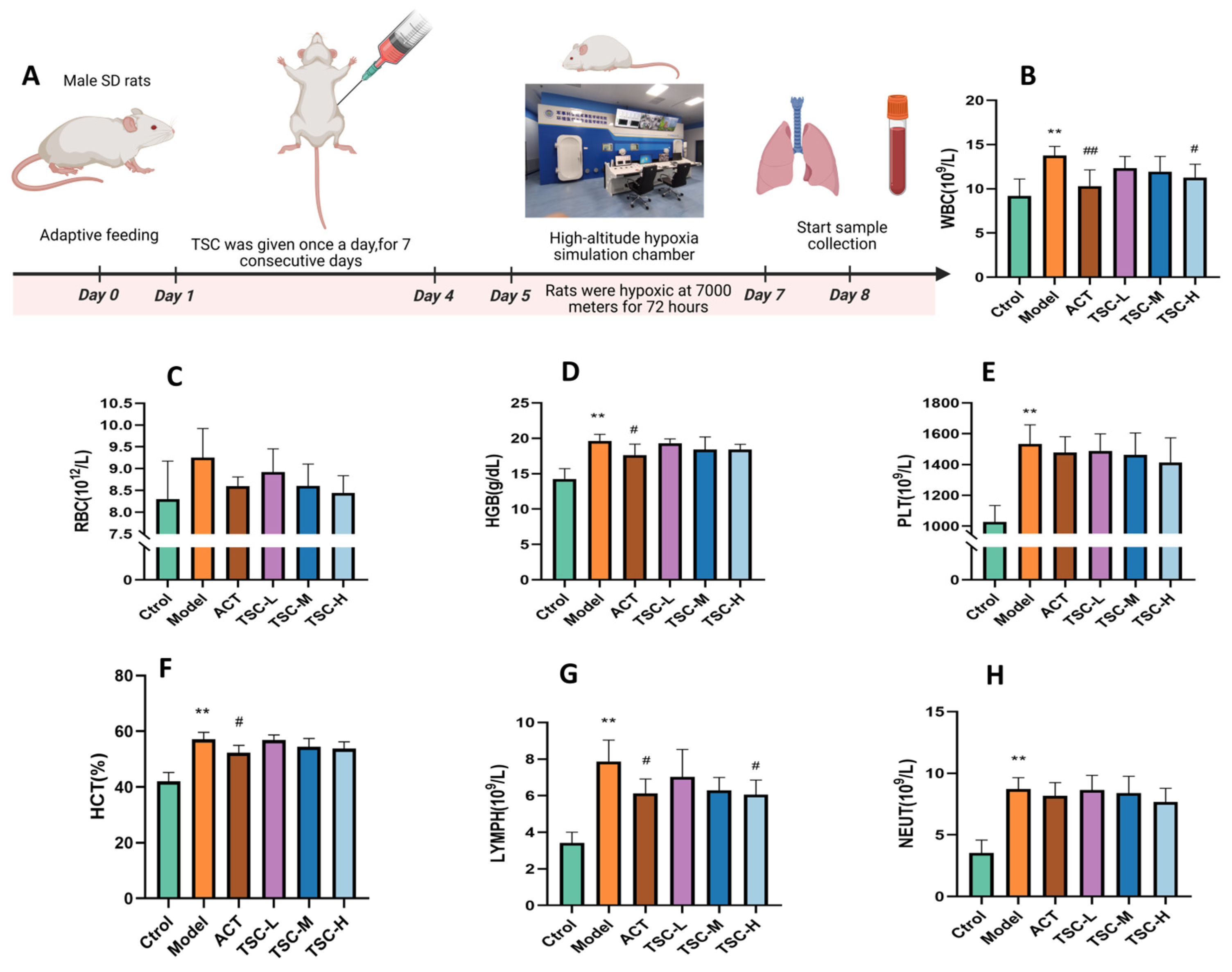 Nutrients 17 02406 g002