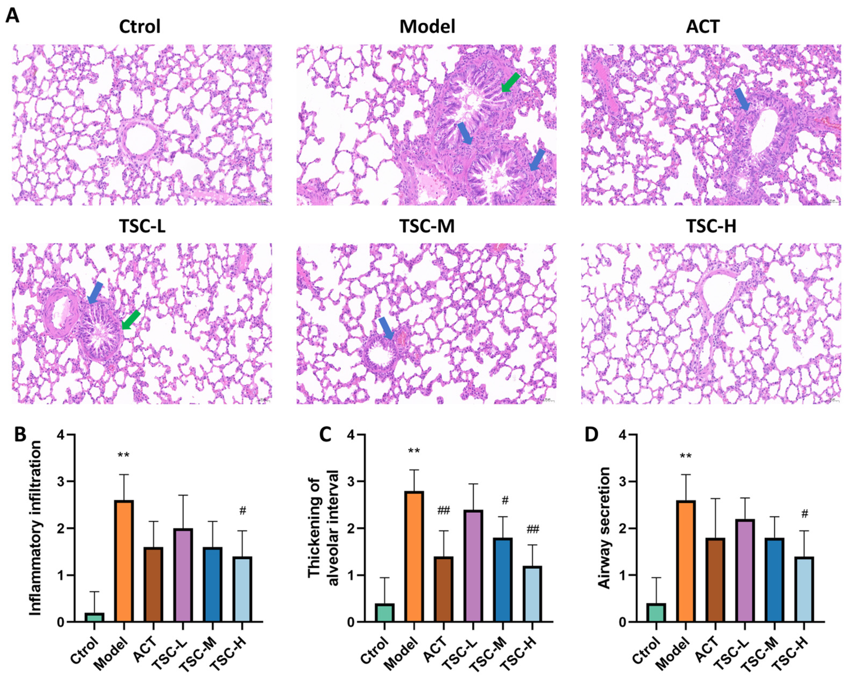 Nutrients 17 02406 g004