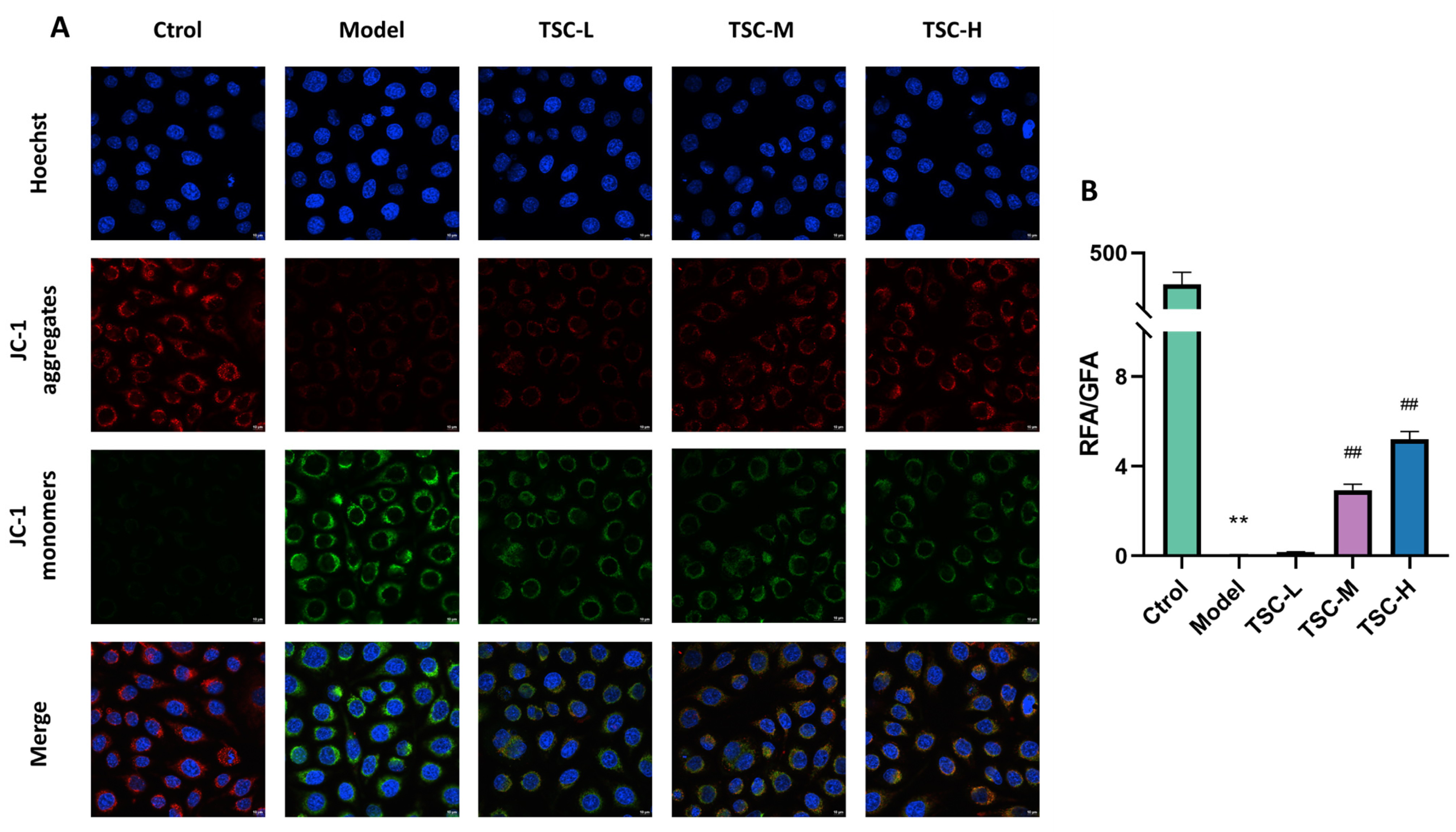 Nutrients 17 02406 g008