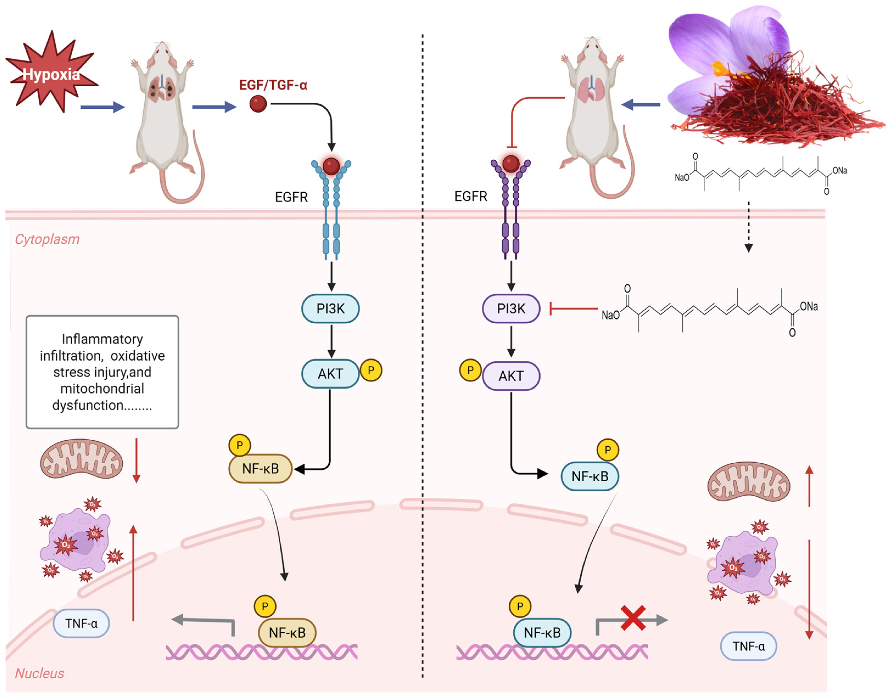 Nutrients 17 02406 g014