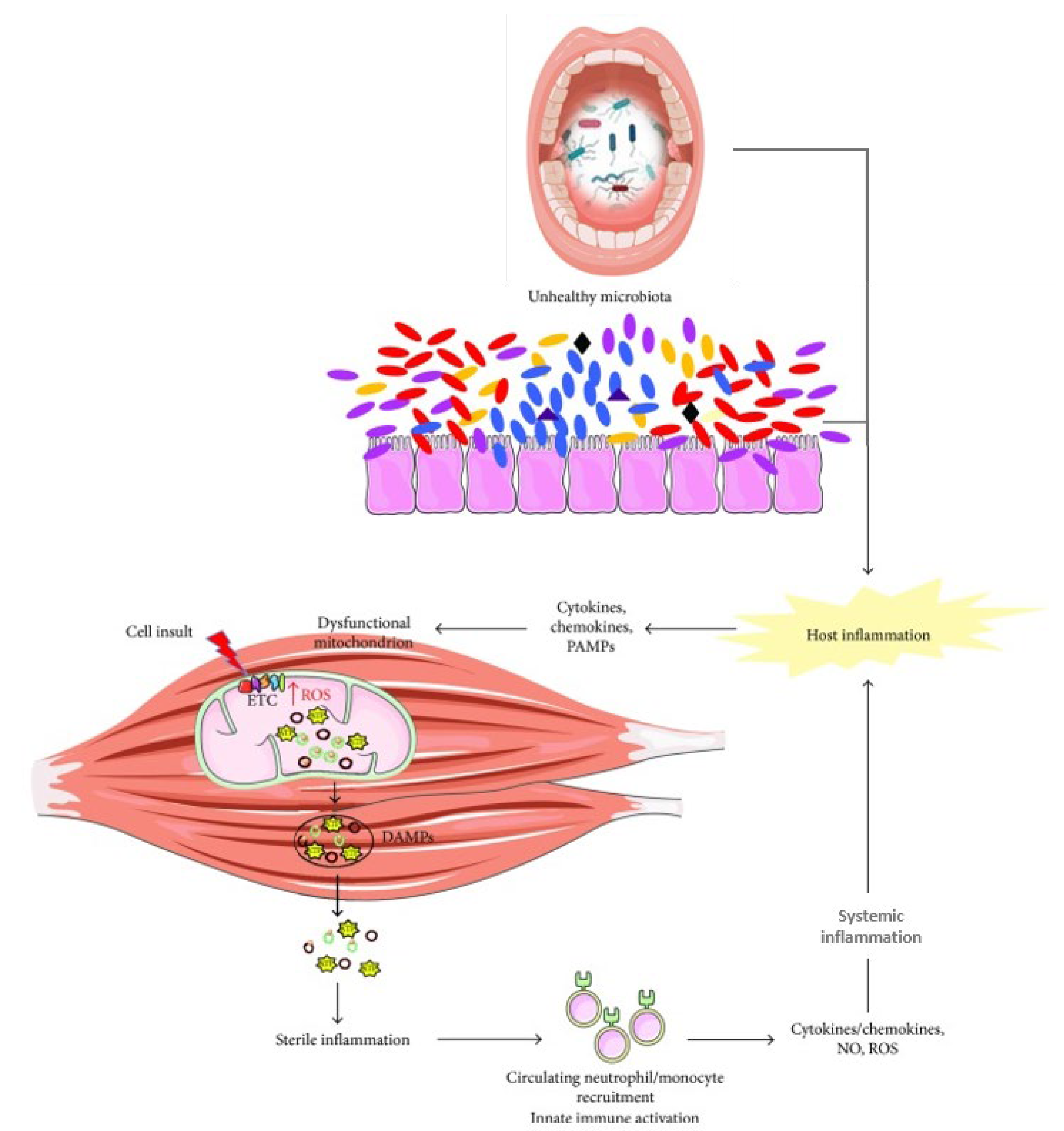 Nutrients 17 02408 g003