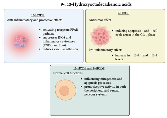 Obtaining and Characterization of Nutraceuticals Based on