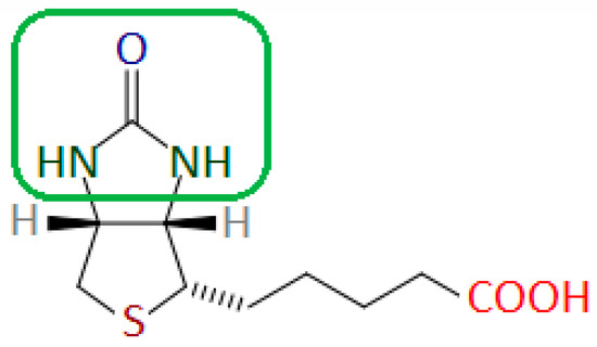 Biotin Supplementation—The Cause of Hypersensitivity and