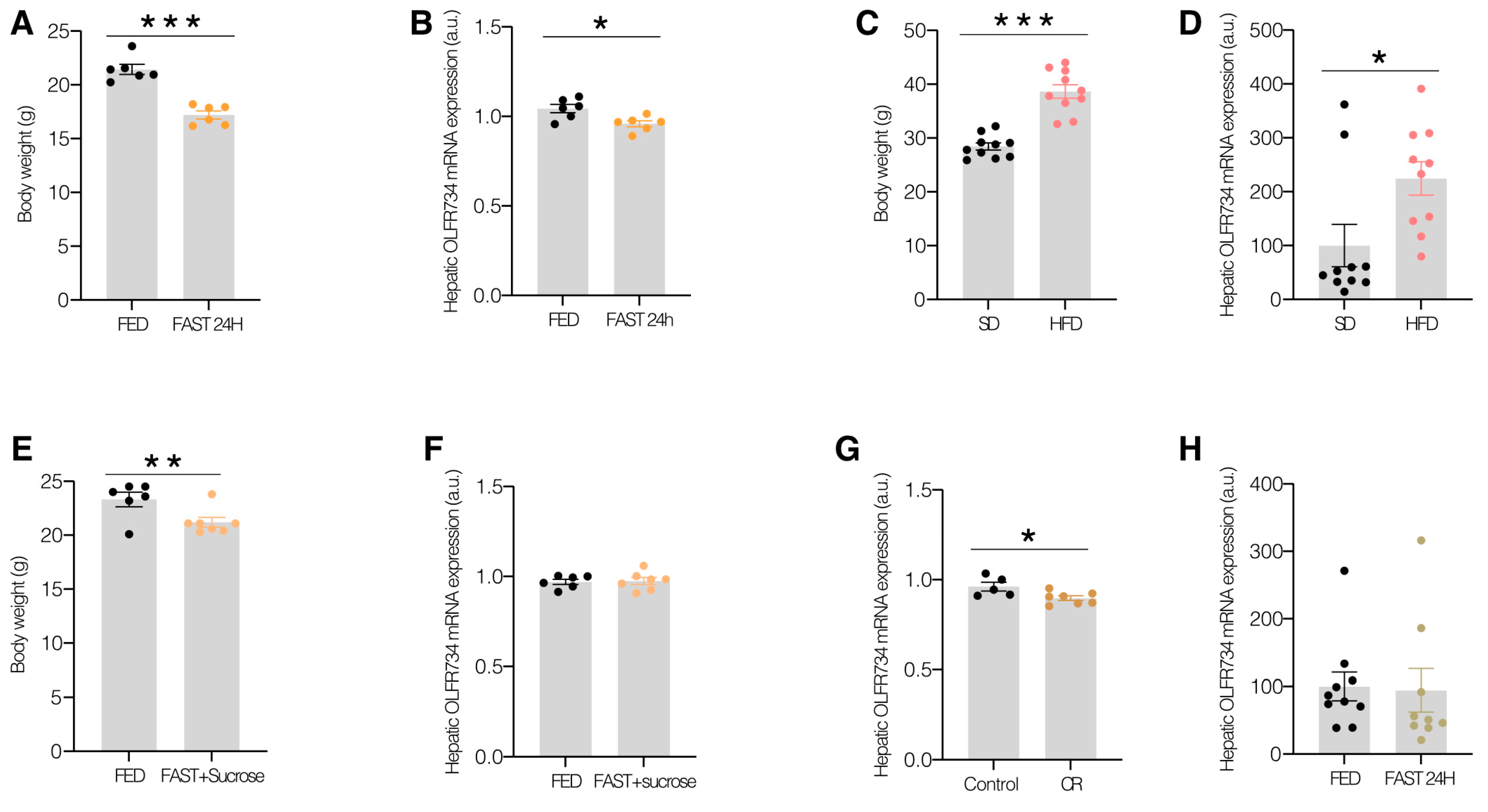 Nutrients 17 02426 g001